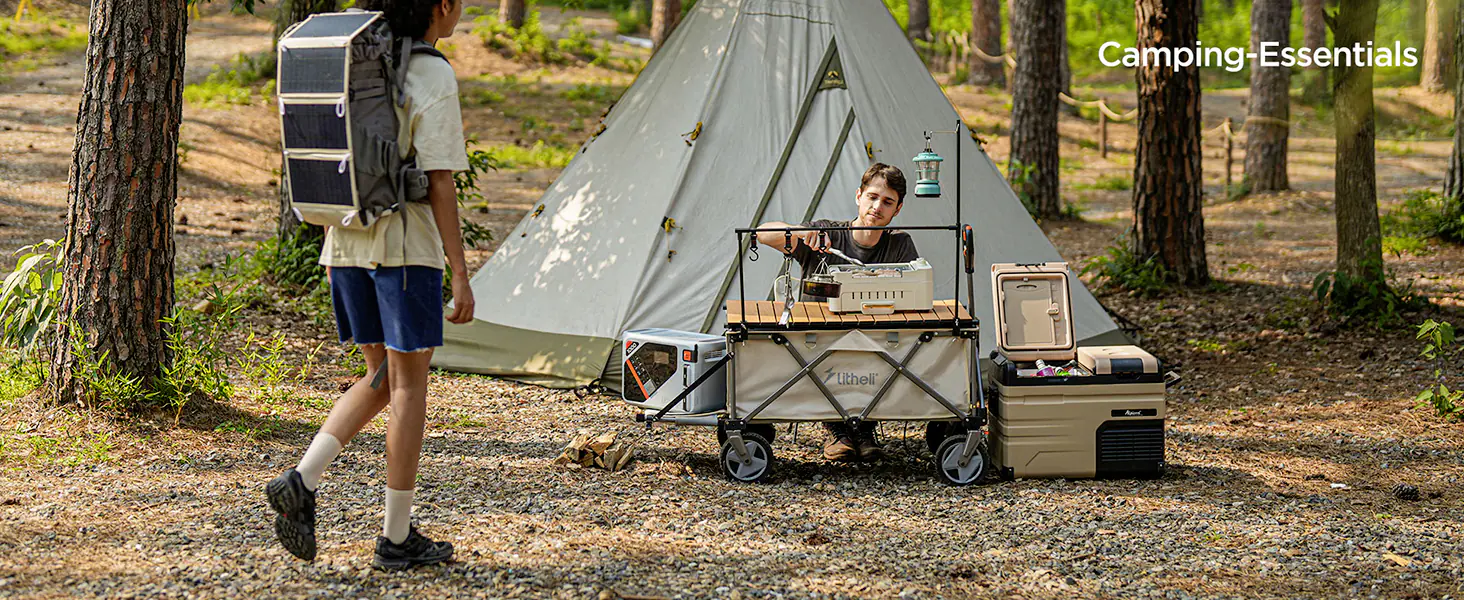 Litheli Bollerwagen 450 W W1 Pro, inkl. Akku 4.0 Ah