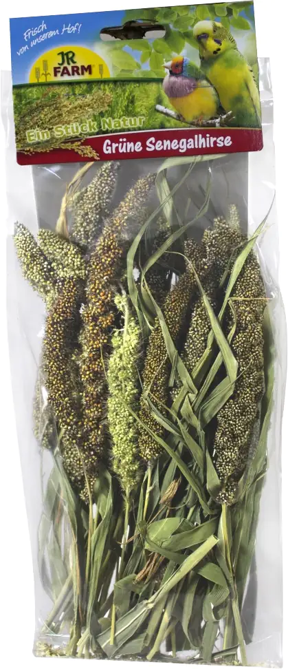 JR Birds Grüne Senegalhirse
