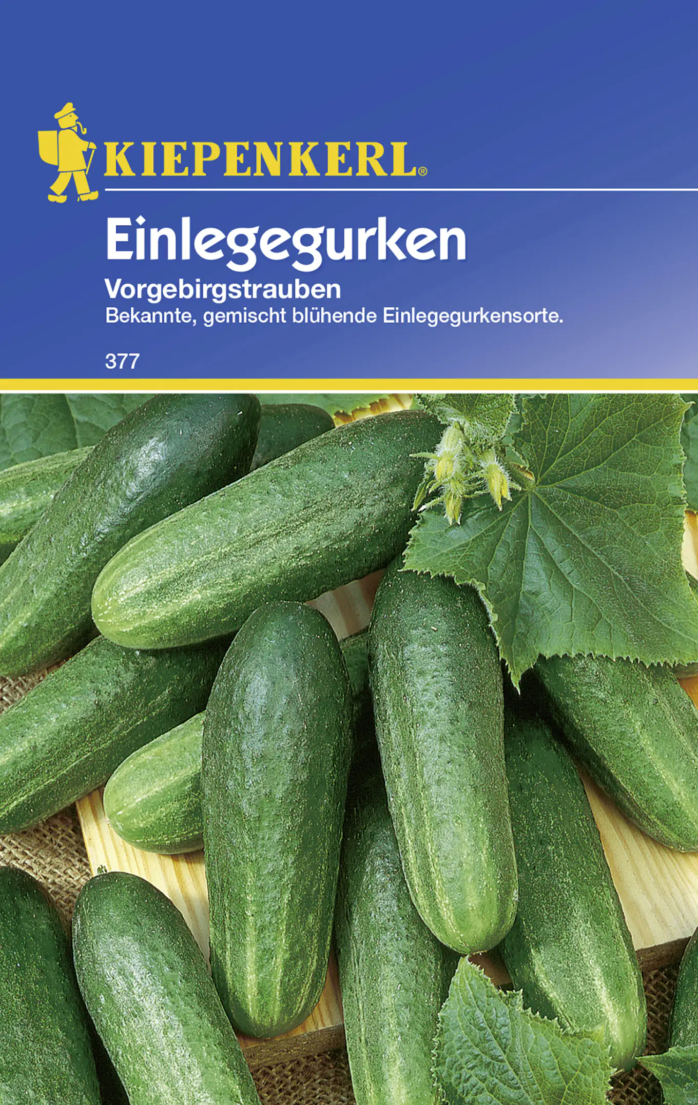 Kiepenkerl Einlegegurke Vorgebirgstrauben Cucumis sativus, Inhalt: ca. 80 Pflanzen Kiepenkerl Einlegegurke Vorgebirgstrauben Cucumis sativus, Inhalt: ca. 80 Pflanzen