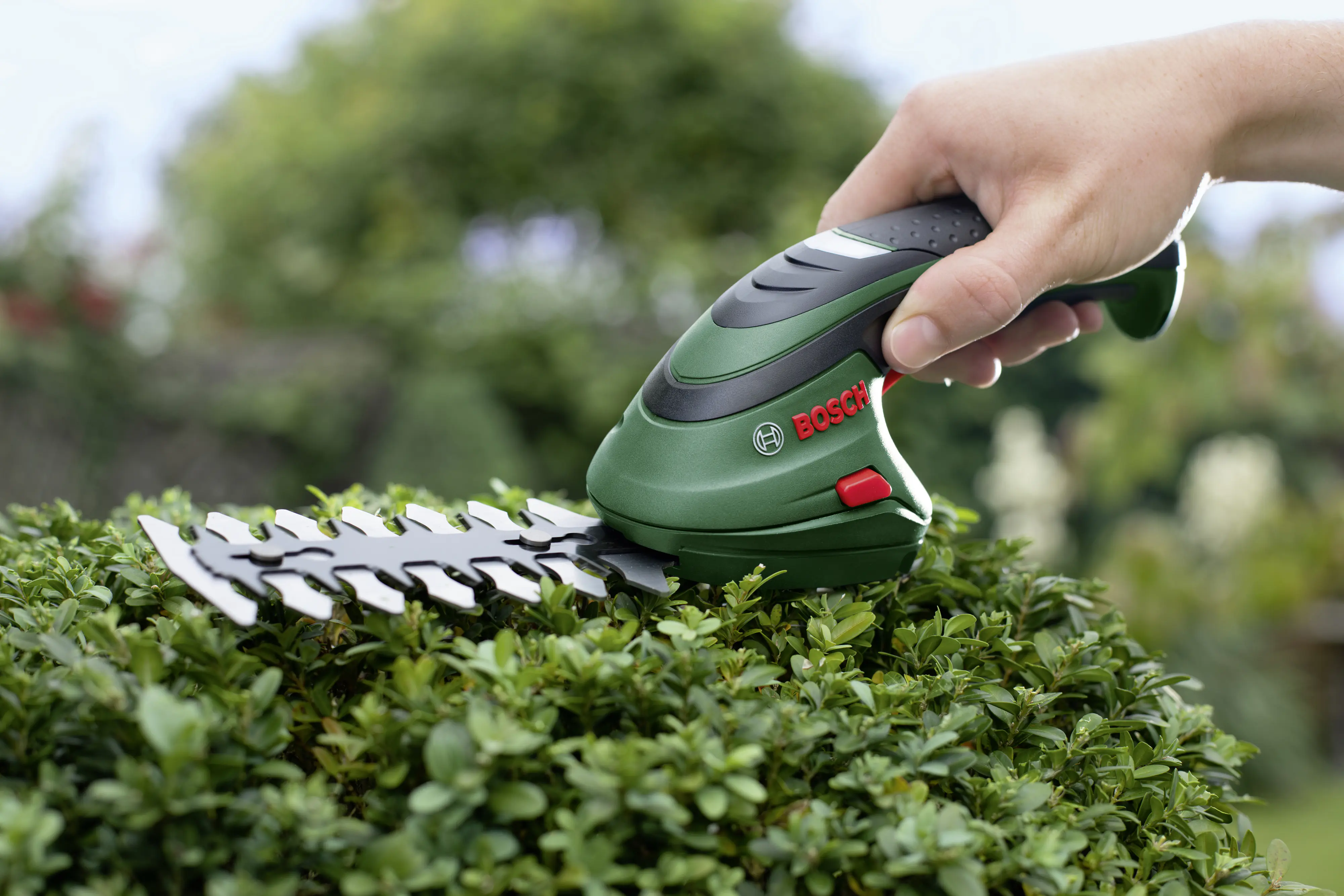Bosch Akku- Gras-und- Strauchschere EasyShear 3,6 V