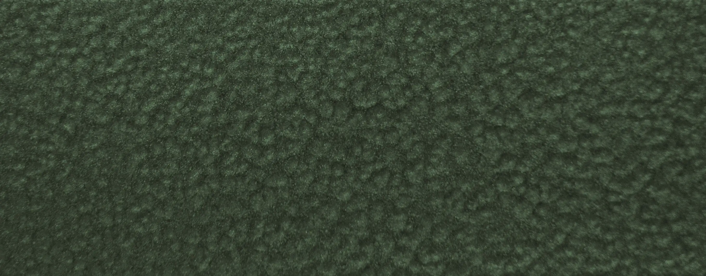 Alpina Metallschutz-Lack Hammerschlag 2,5 L grün