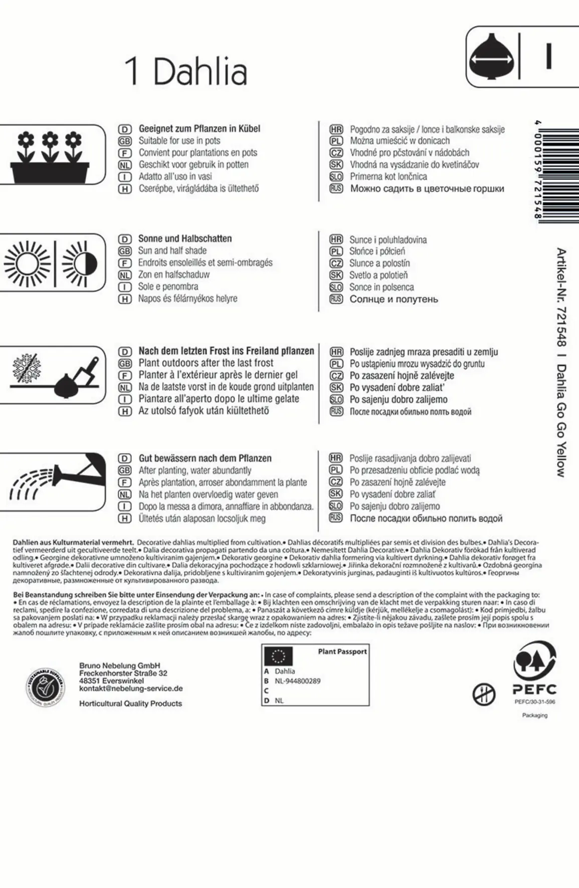 Kiepenkerl Frühjahrsblumenzwiebel Dahlie Go Go Yellow 1 Stück