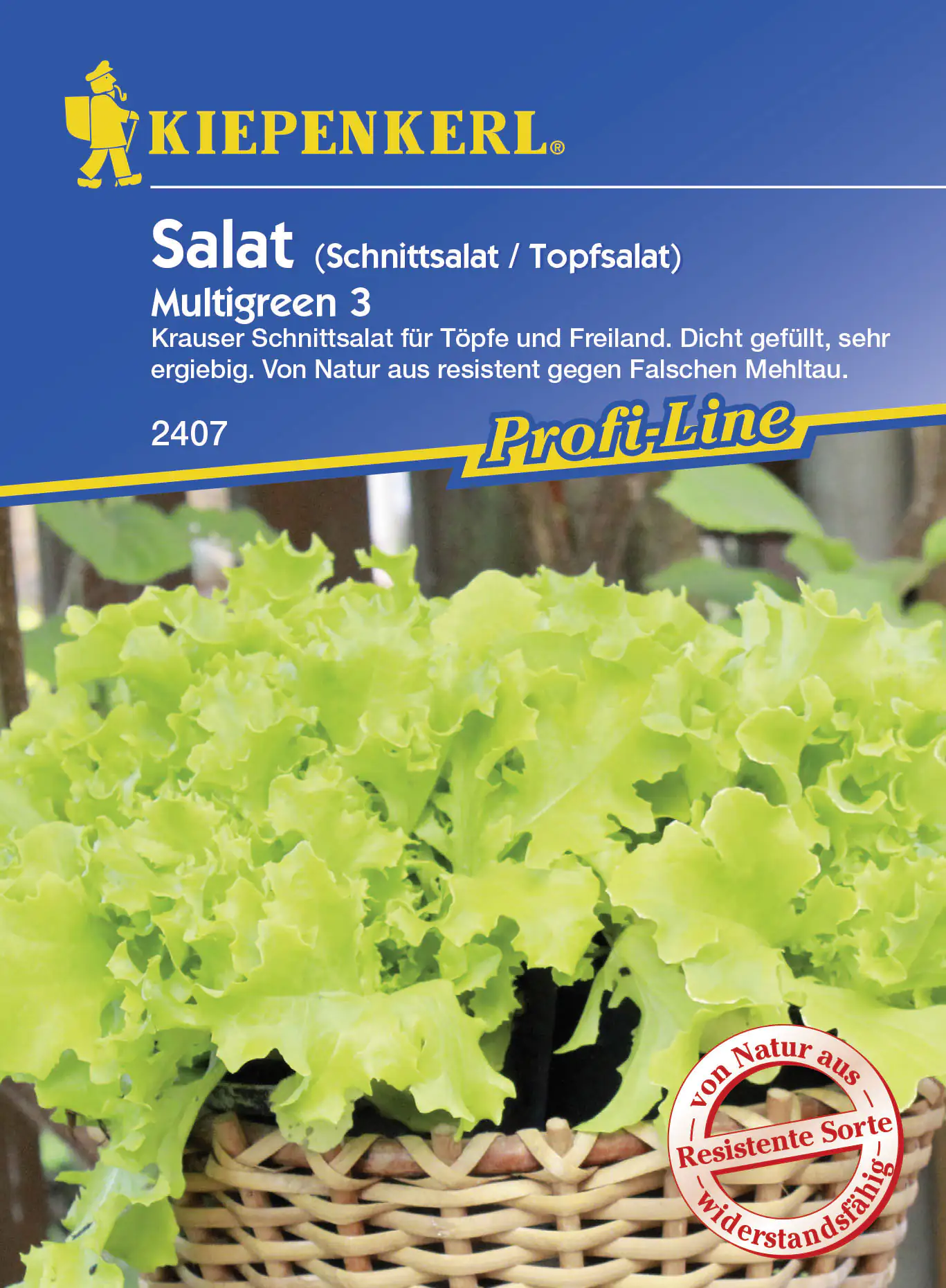 Kiepenkerl Schnittsalat Multigreen 3 Lactuca sativa var. capitata, Inhalt: ca. 30 Pflanzen