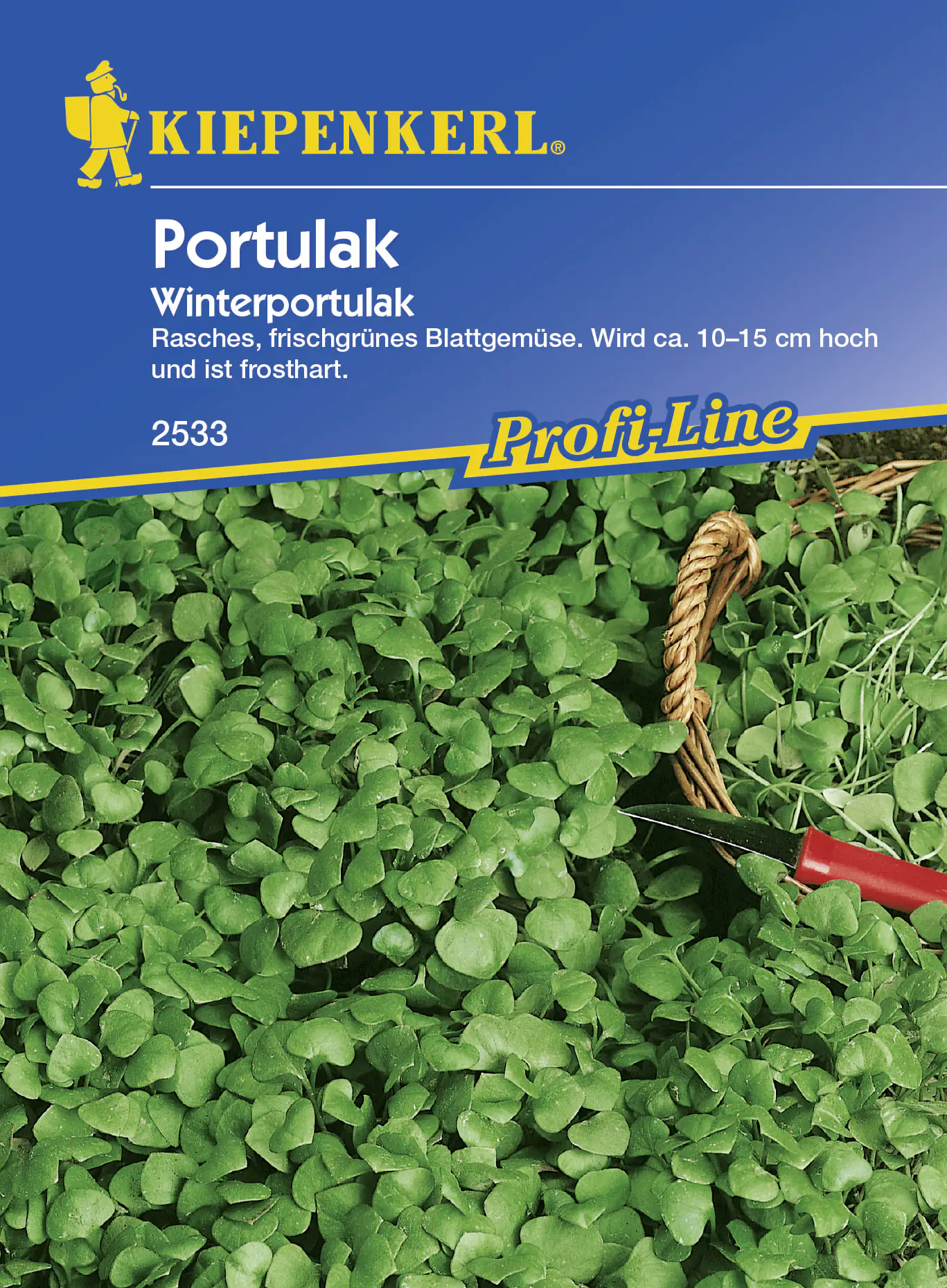 Kiepenkerl Portulak Winterportulak ca. 10 lfd. Meter kaufen Globus