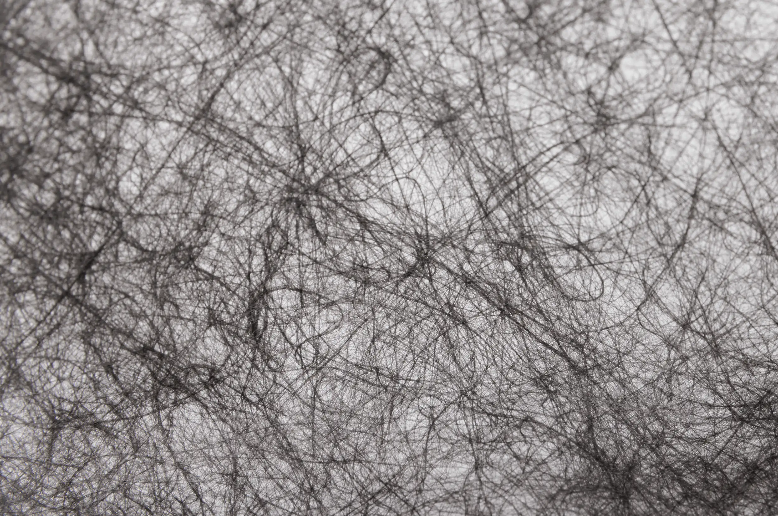 Primaster Unkrautvlies 1 x 5 m