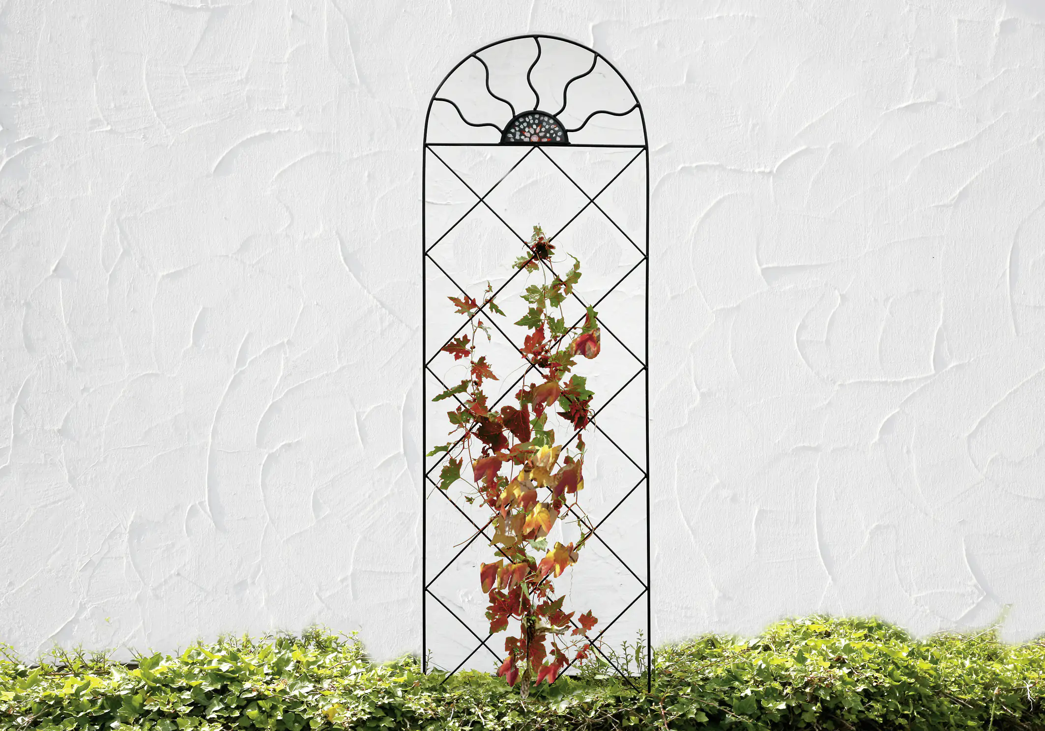 Floraworld Ornament Spalier Comfort 50 x 182 cm