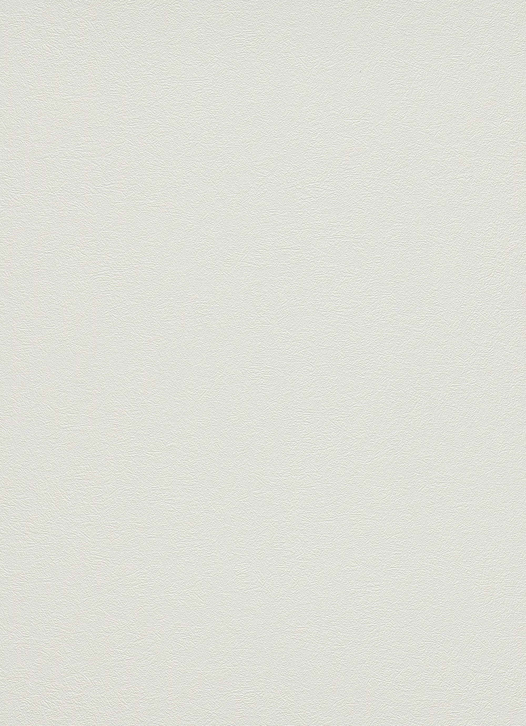 Erismann Vinyltapete 9733-01 Flitter weiss 10,05 x 0,53 m Erismann Vinyltapete 9733-01 Flitter weiss 10,05 x 0,53 m