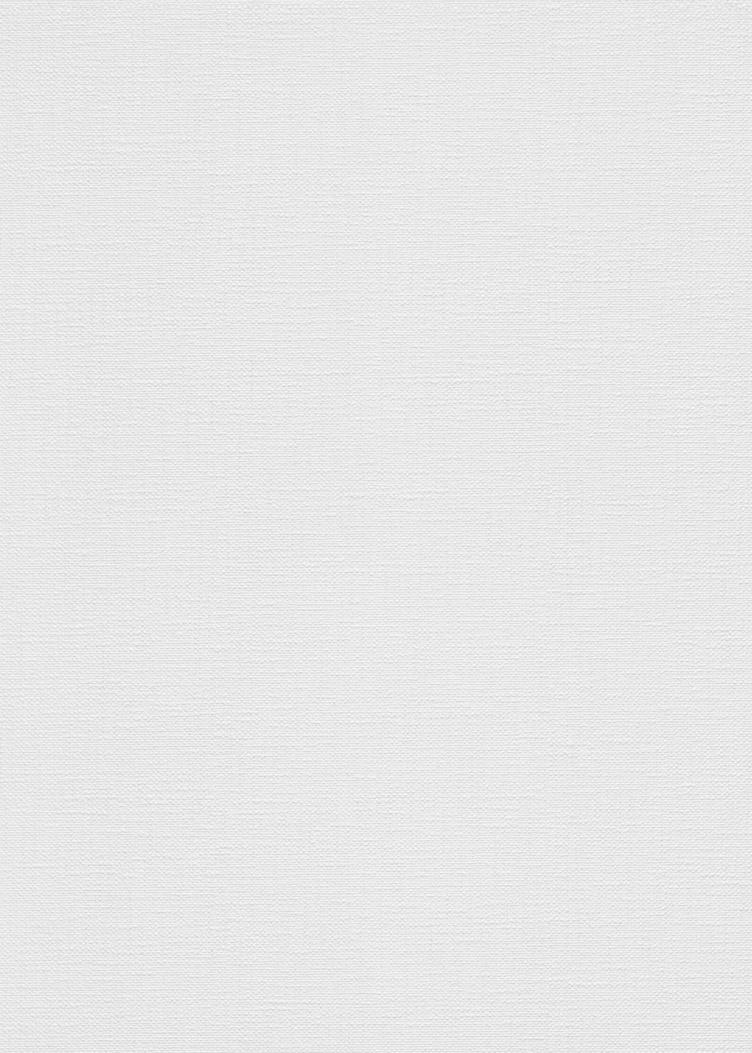 Erismann Vliestapete Dolce Uni grau 10,05 x 0,53 m