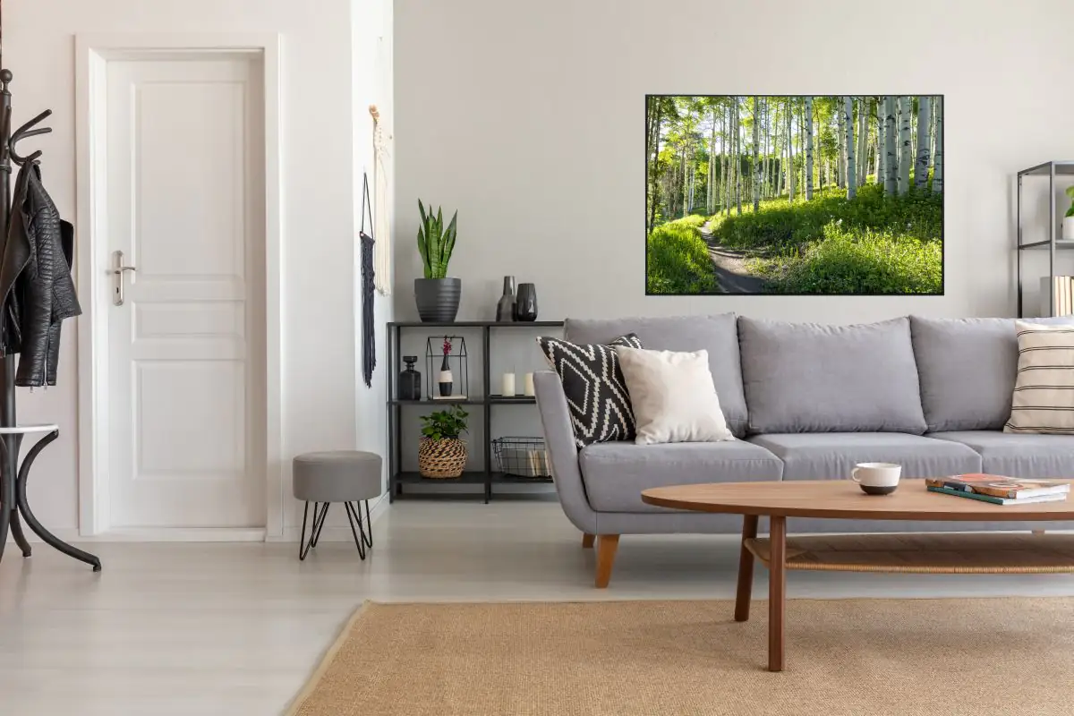 papermoon Infrarotheizkörper EcoHeat 60X100 cm 800 Watt, Birken Wald