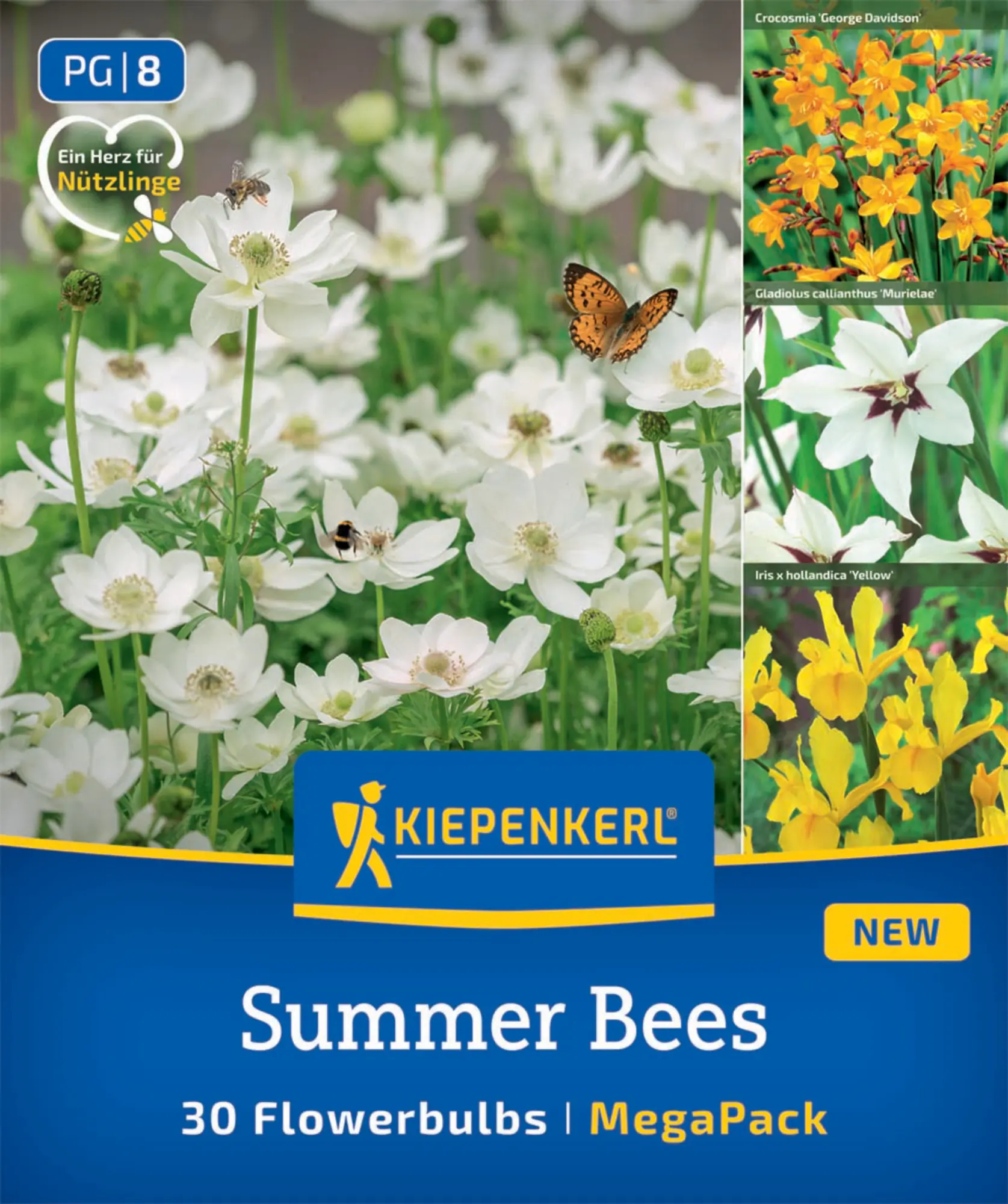 Kiepenkerl Saatgut Blumenzwiebelmischung Summer Bees Mega-Pack für ca. 30 Pflanzen