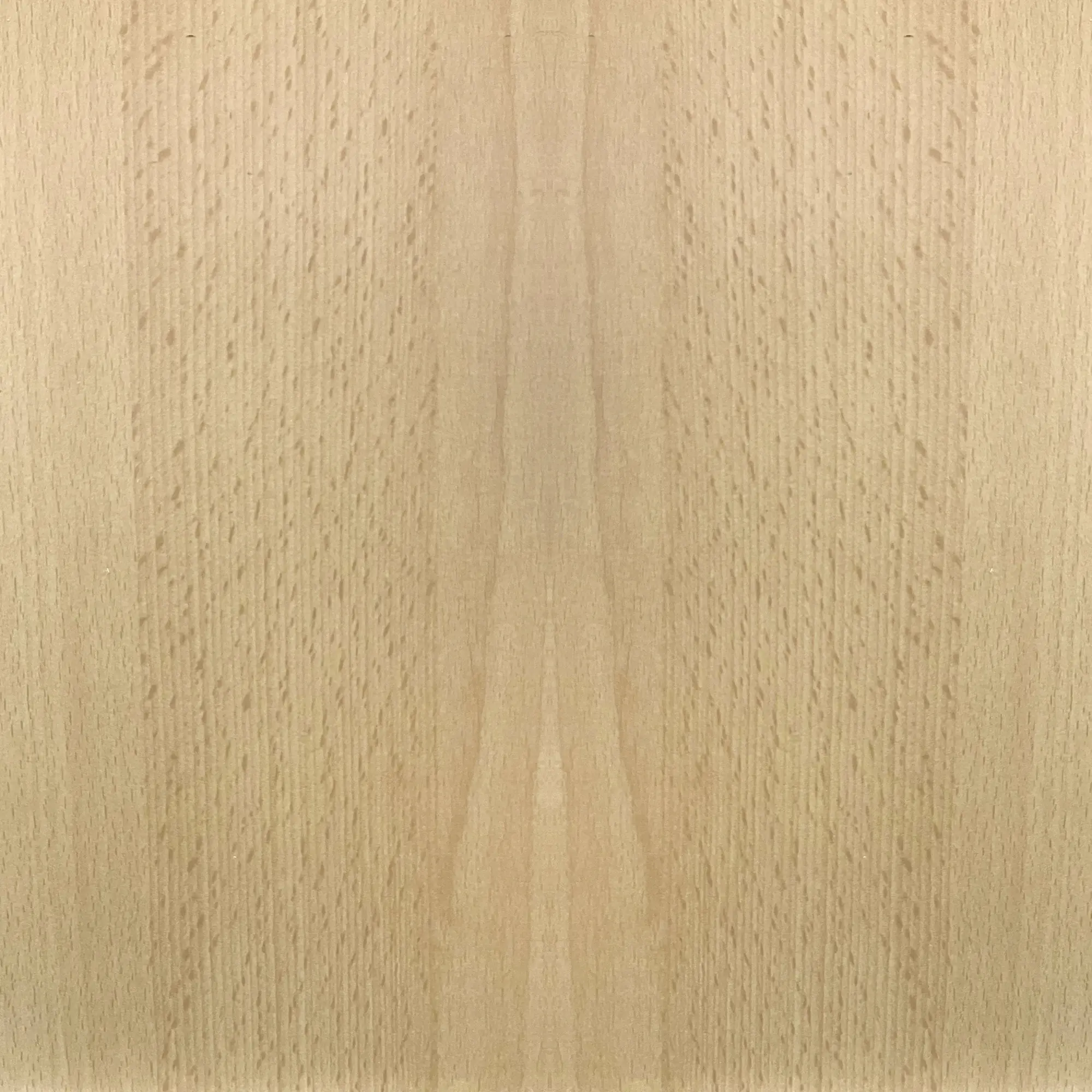 FN Neuhofer Sockelleiste S0291 240 cm 29 x 5 mm Buche natur