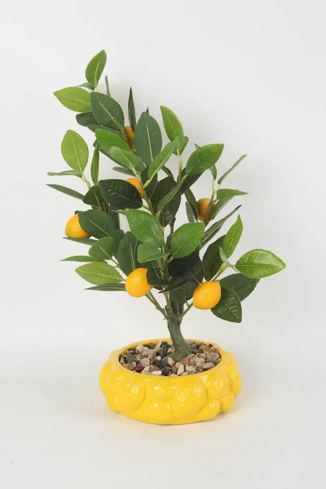 TrendLine Kunstpflanze Zitronenbaum Ø 20 x 47 cm mehrfarbig 