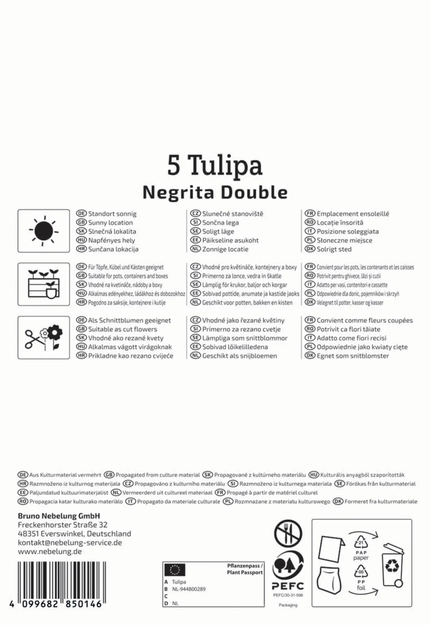 Kiepenkerl Herbstblumenzwiebel Profi-Line Tulpe Negrita Double 5 Stück
