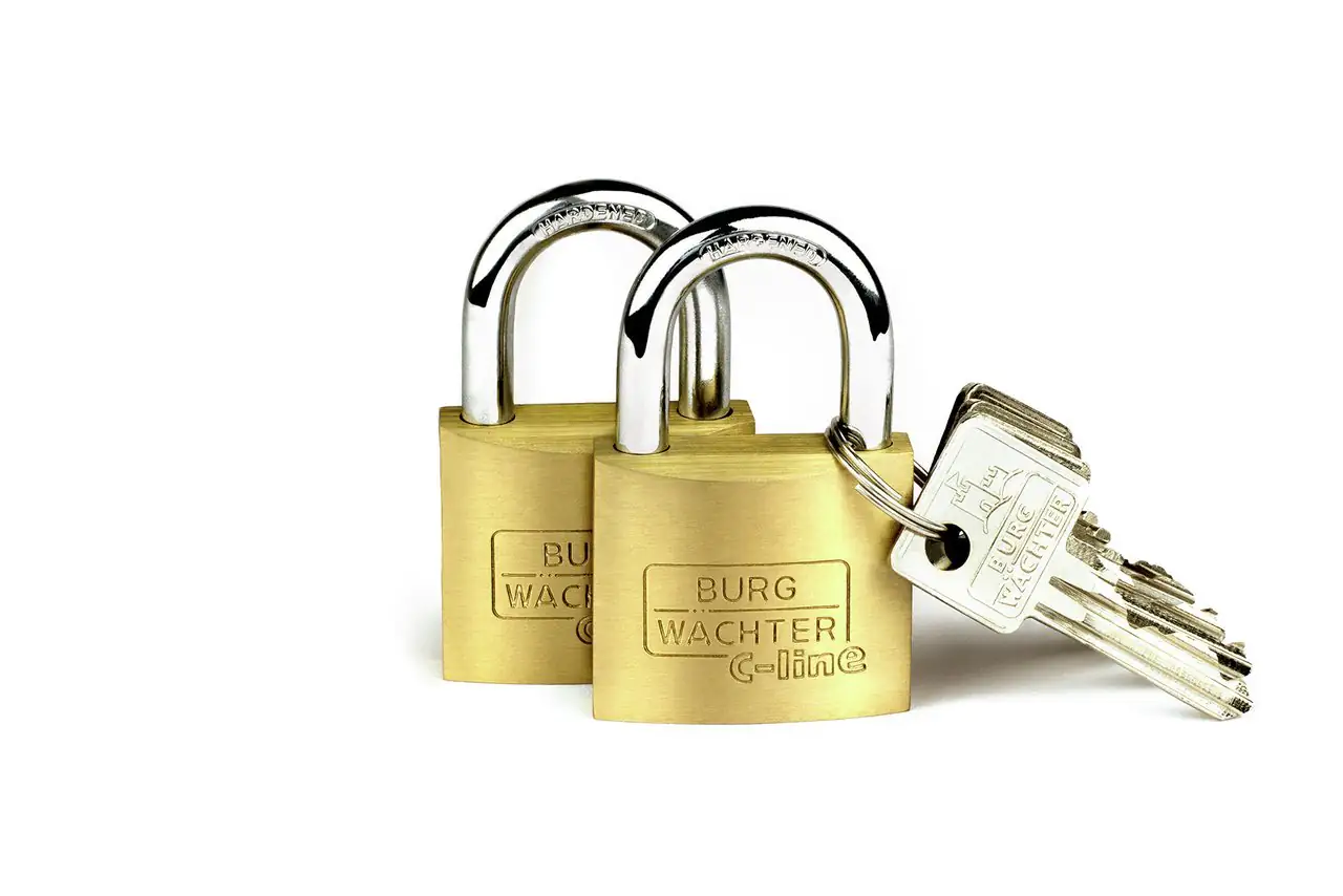 Burg Wächter Vorhängeschloss Duo 222 40 C-Line 20.0 x 22.0 mm - 4 Stück
