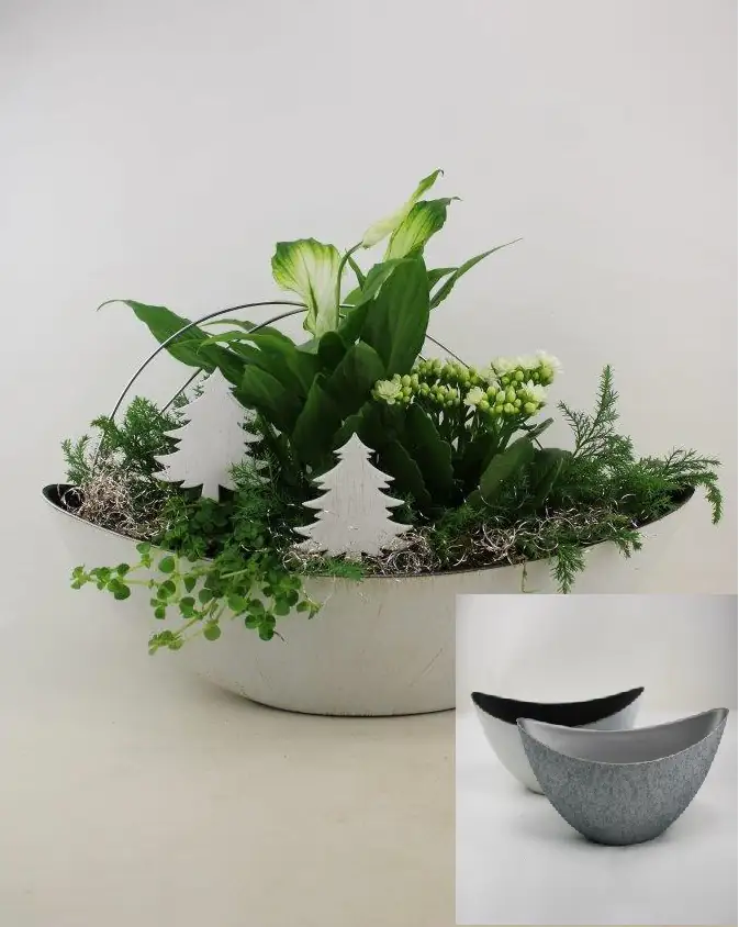 Advents-Arrangement Alpenveilchen, Glückstaler und Friedenslilie mit Deko