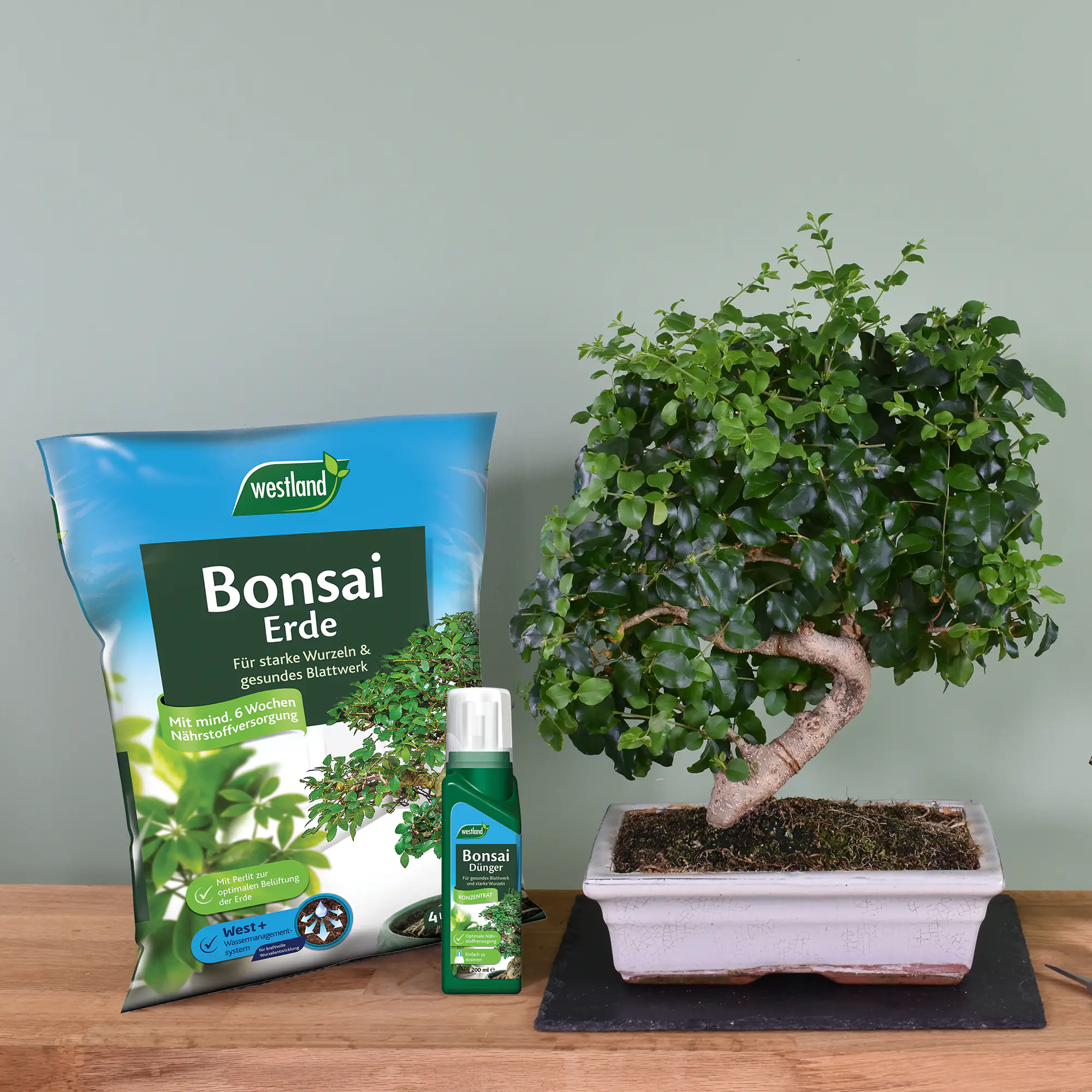 Westland Bonsaierde 4 l Westland Bonsaierde 4 l