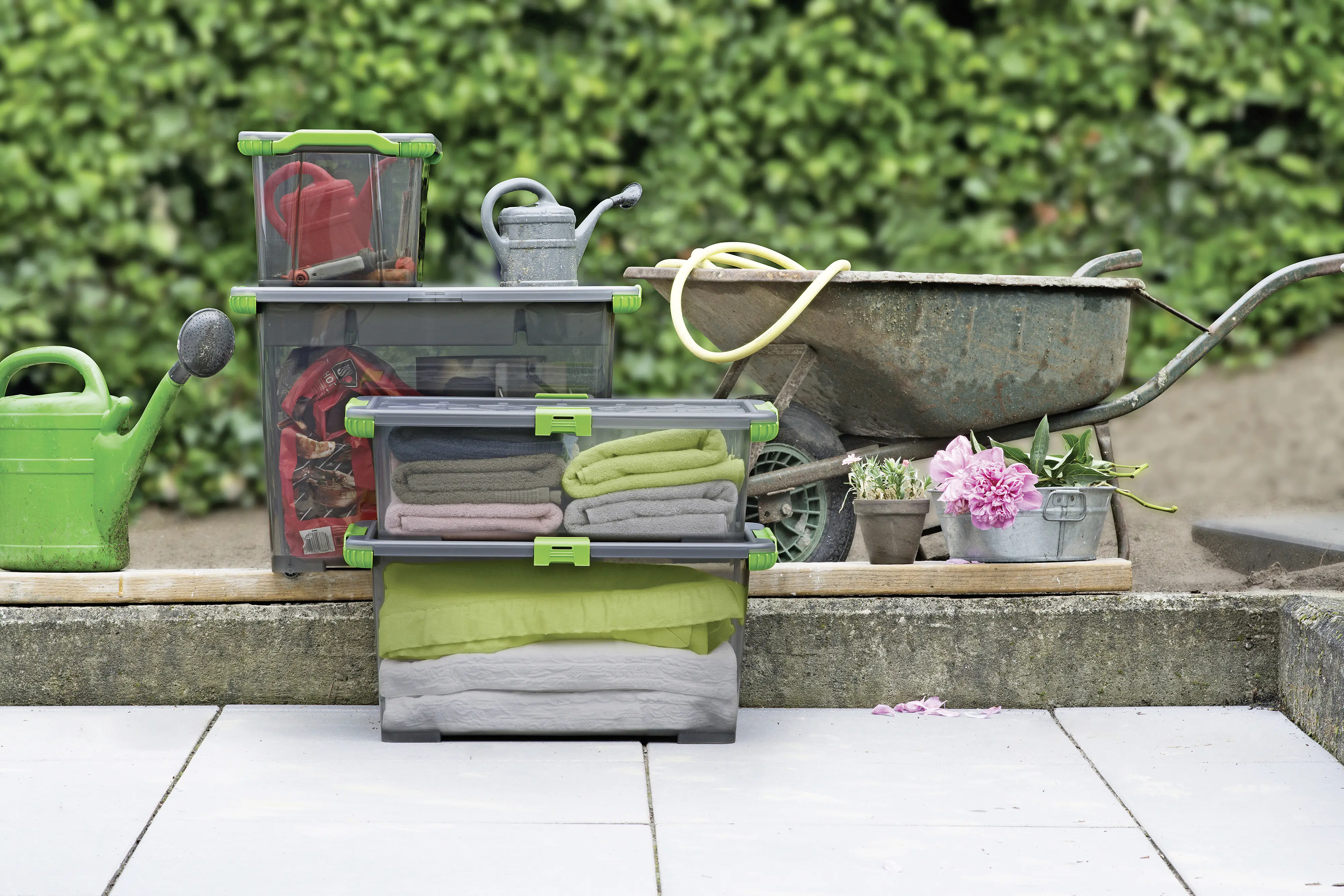 Rotho Aufbewahrungsbox EVO Total inkl. Deckel 11 L anthrazit