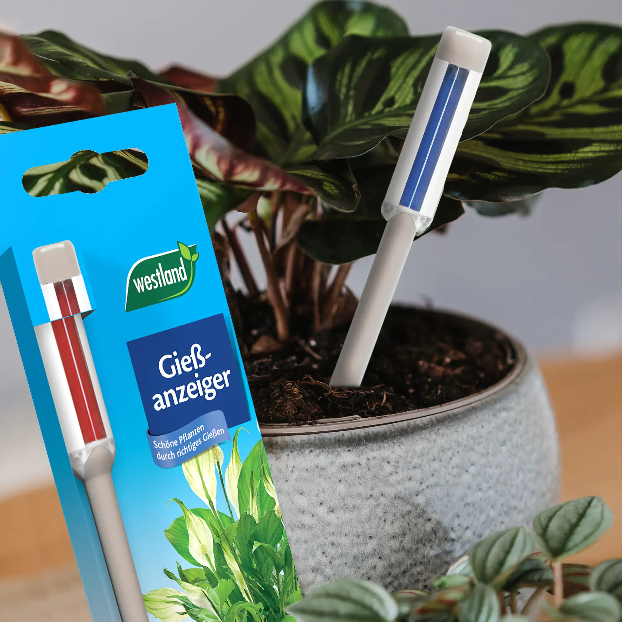 Westland Gießanzeiger klein steingrau 16 cm