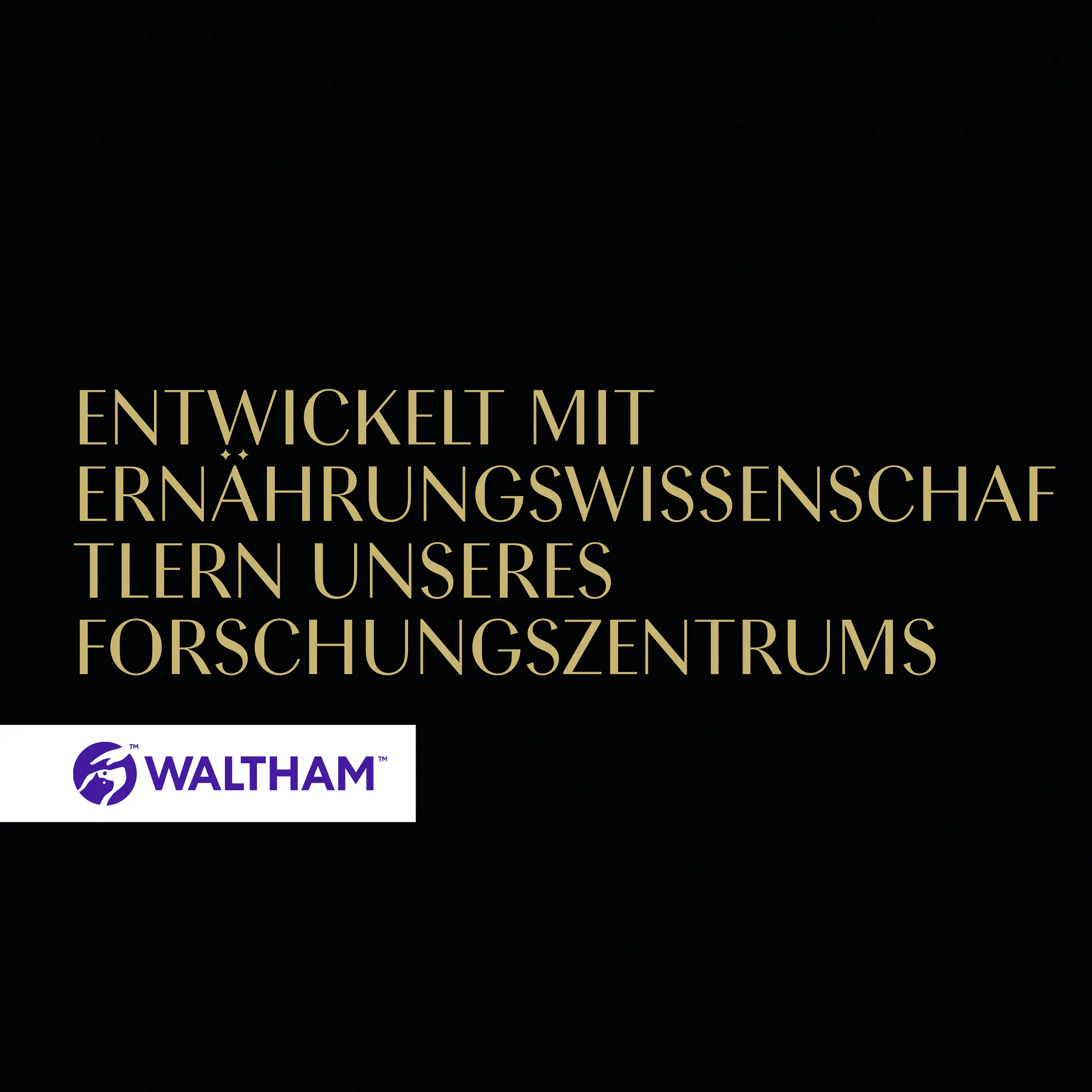 Sheba Delikatesse in Gelee Katzennassfutter Adult 85 g Geschnetzeltes mit Huhn