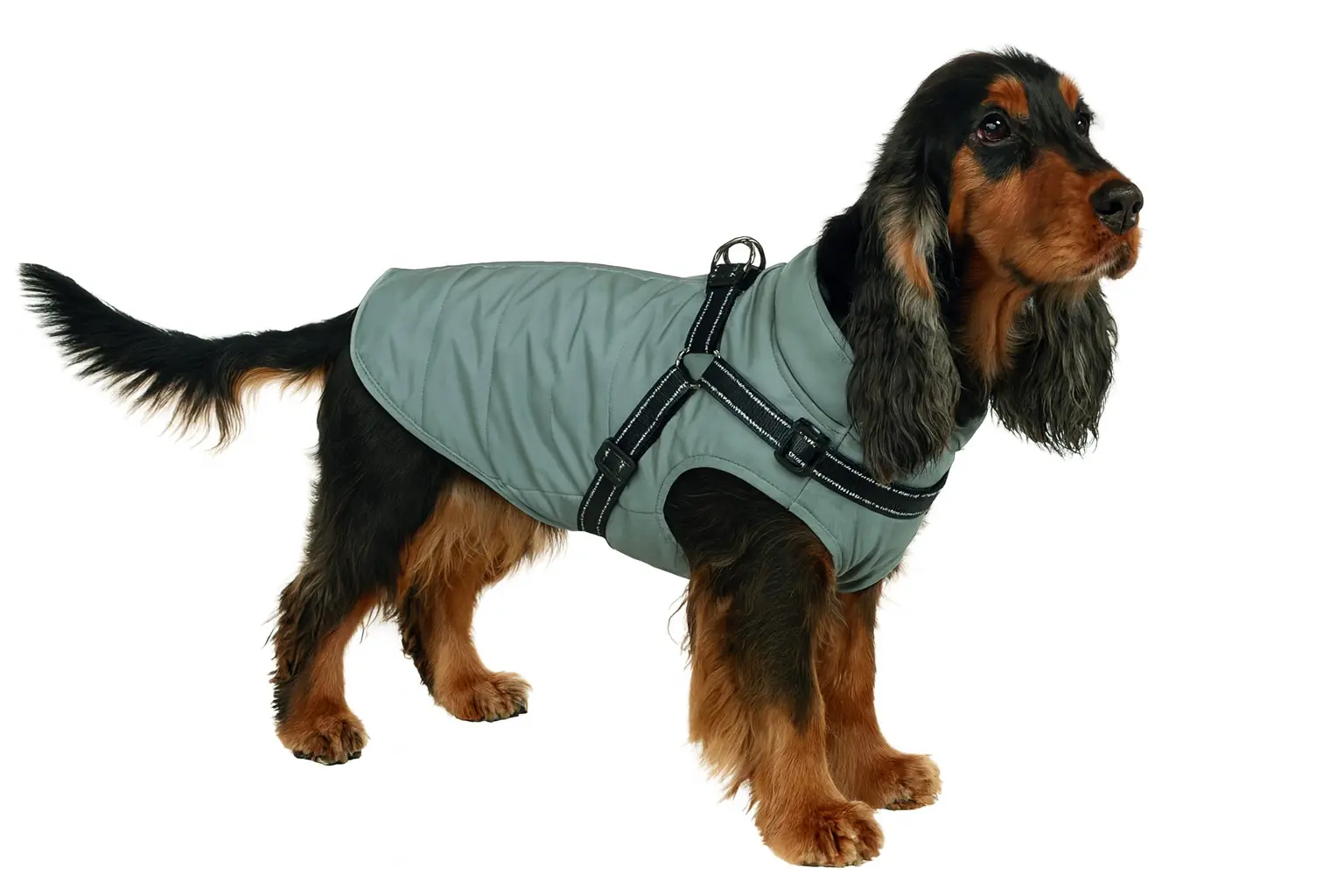 Nobby Hundemantel Full Reflect 2 in 1 silber Nobby Hundemantel Full Reflect 2 in 1 silber