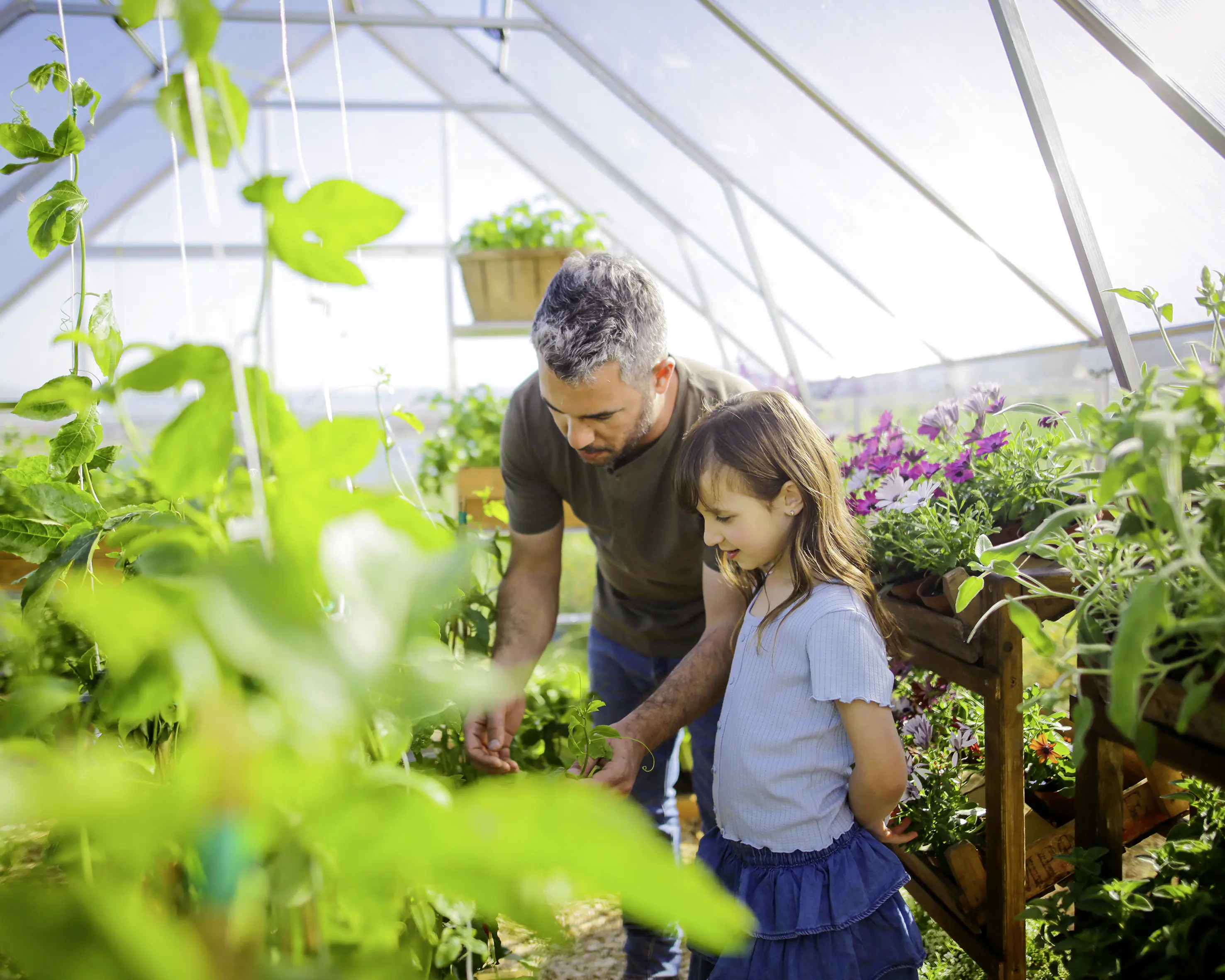 Canopia Gewächshaus Balance  Alu silber 484 x 304 cm