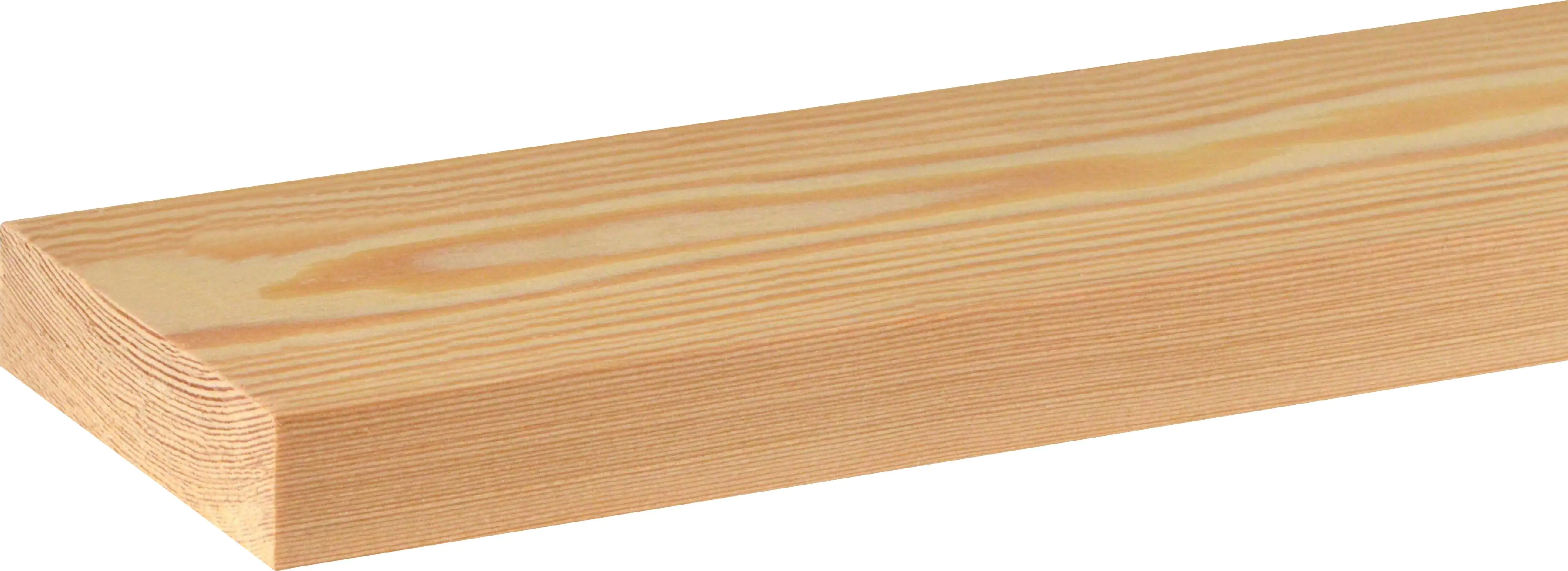 FN Neuhofer Flachleiste 200 cm 79,7 x 18,7 mm Lärche roh