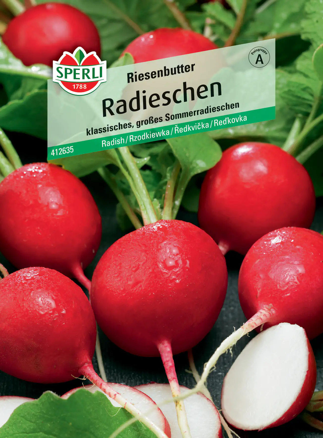 Sperli Radieschen Riesenbutter