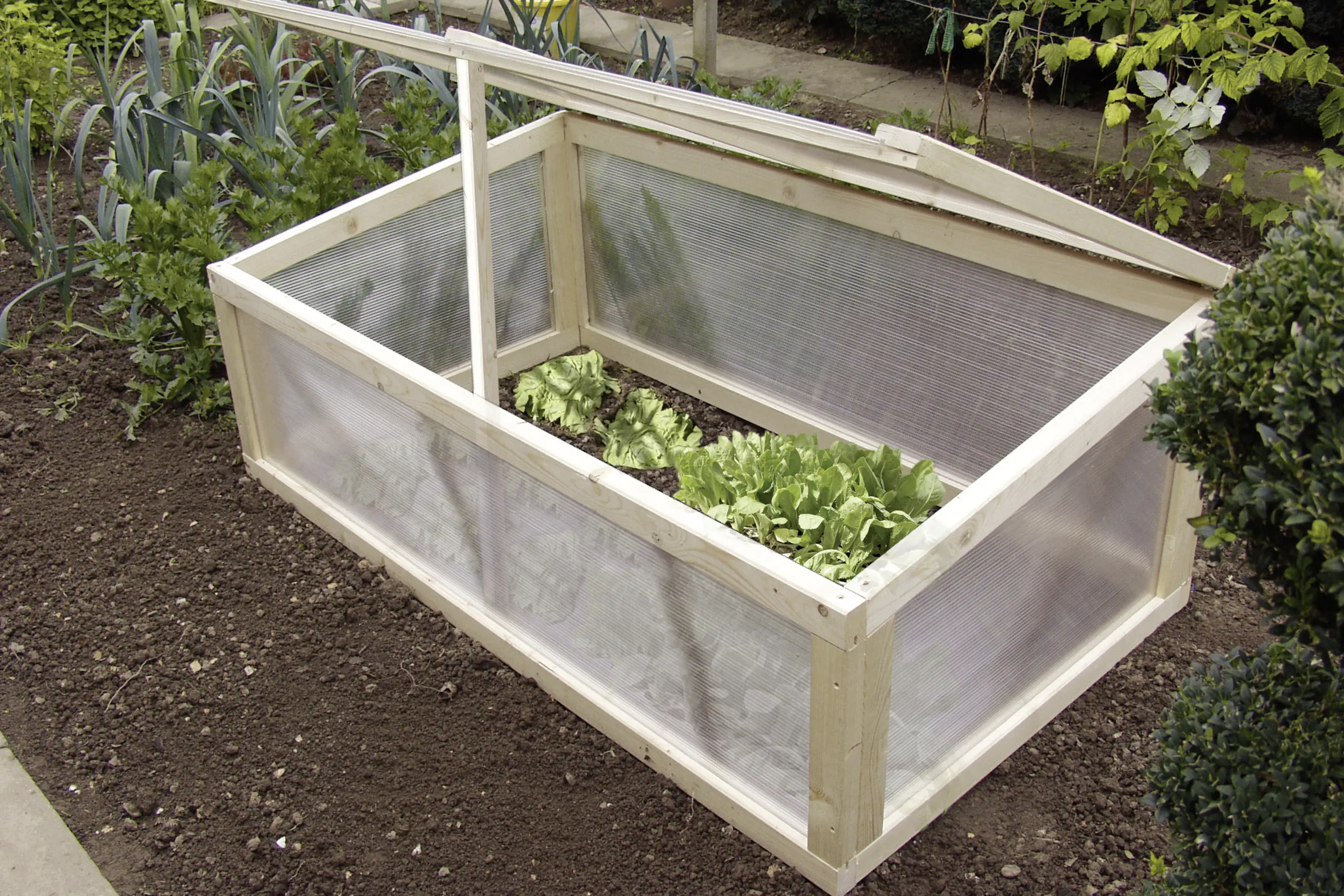 4005011040058_1268698 Gutta Polycarbonat-Doppelstegplatte 150 x 70 cm 4,5 mm klar