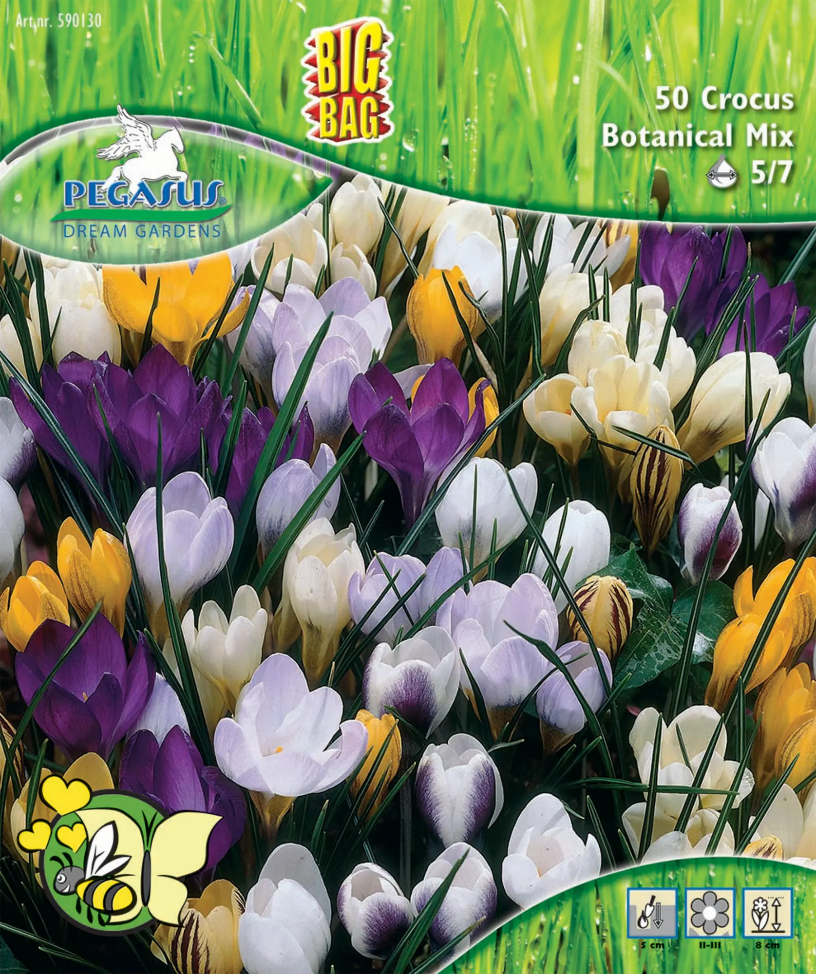 Pegasus Herbstblumenzwiebel Big Bag Botanische Krokus Mischung 50 Stück