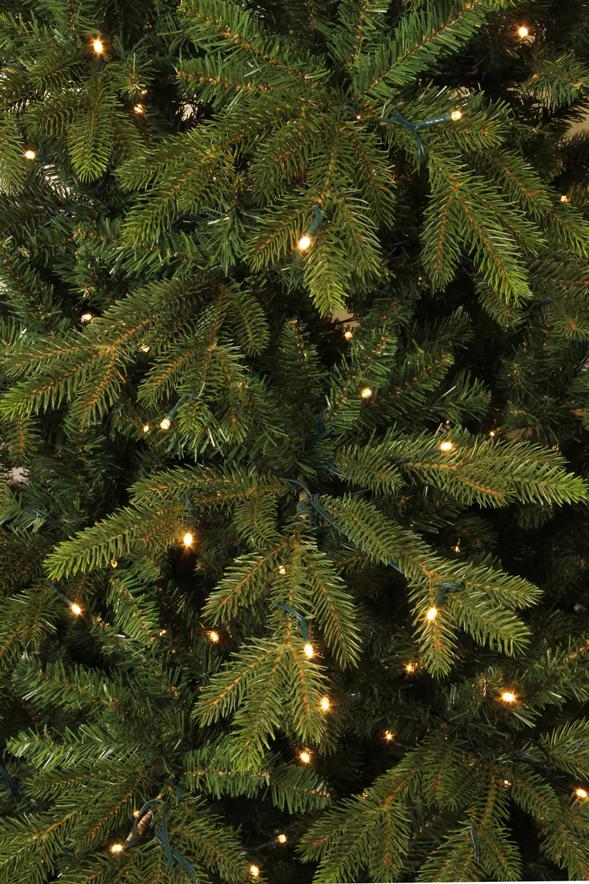 Black Box Trees Weihnachtsbaum Macallan 185 cm grün mit LED