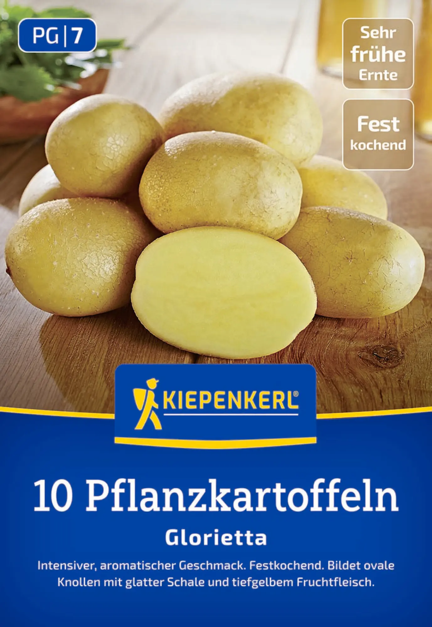 Kiepenkerl Pflanzkartoffel  Glorietta 10 Stück