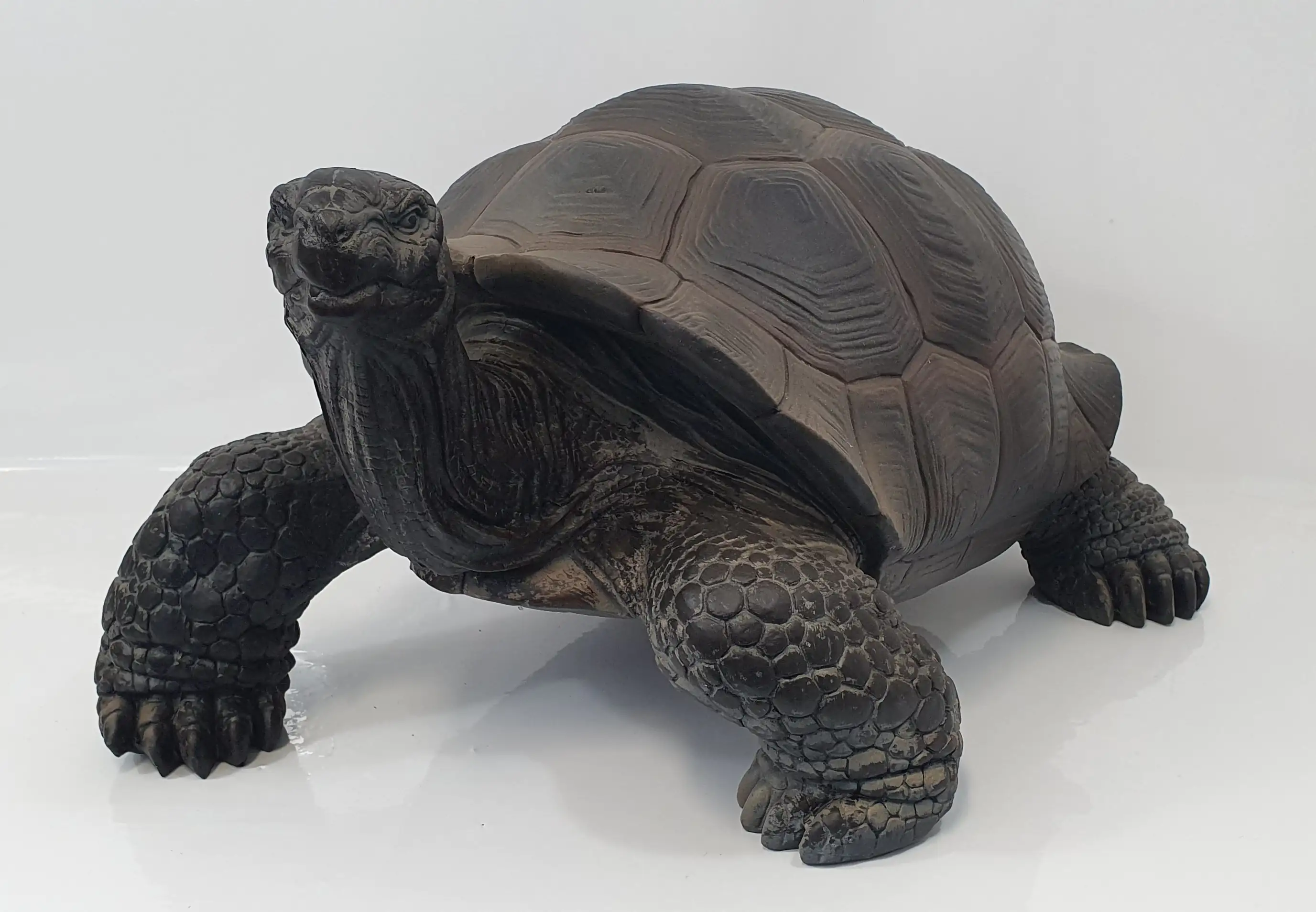 BEST SPORTING Schaufel Schildkröte – Große Kinderschaufel, 74 Cm, Aus Kunststoff Und Holz, In Lila Und Anderen Farben