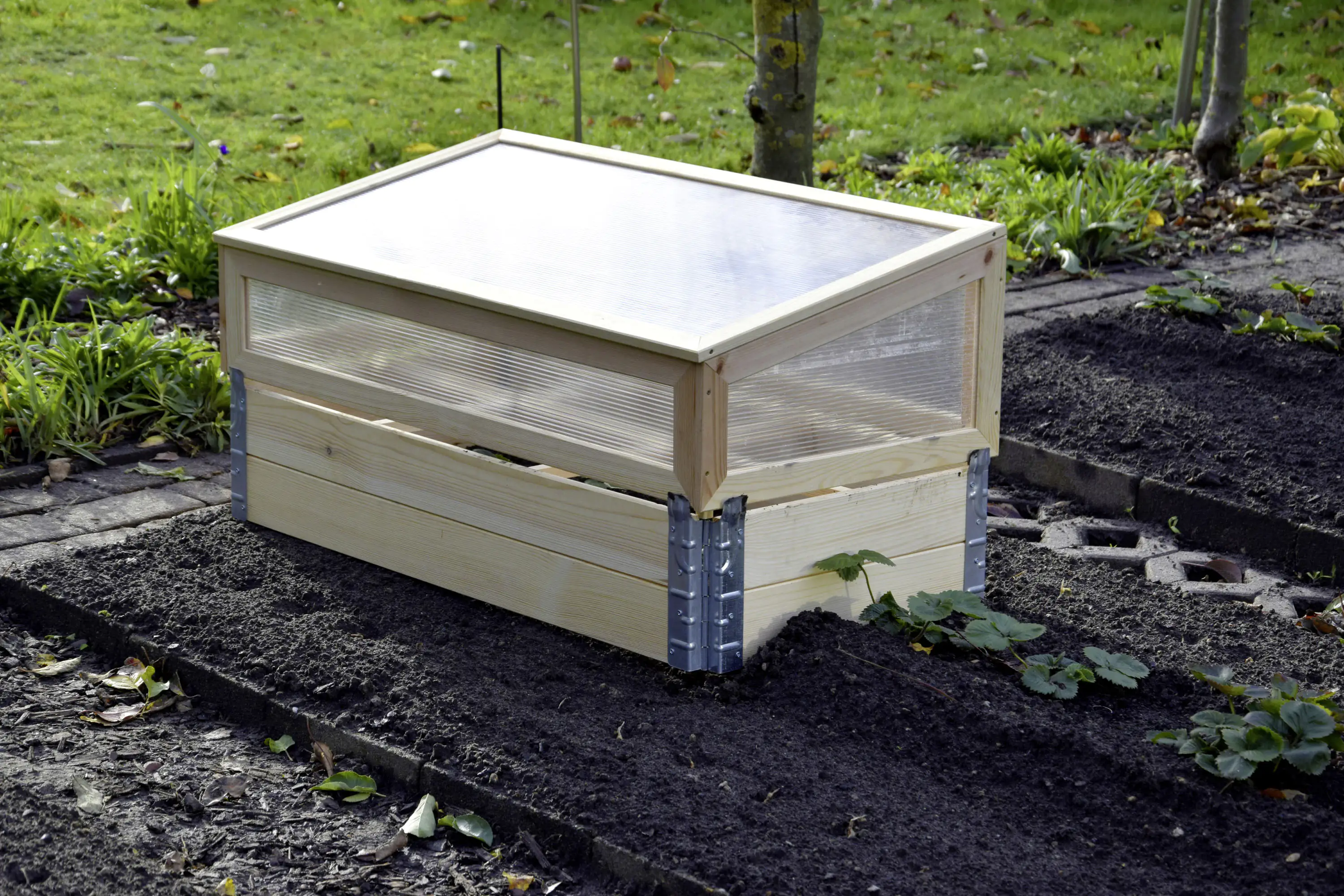 Dobar Frühbeet mit Untersatz transparent Kiefer 100 x 50 x 50 cm