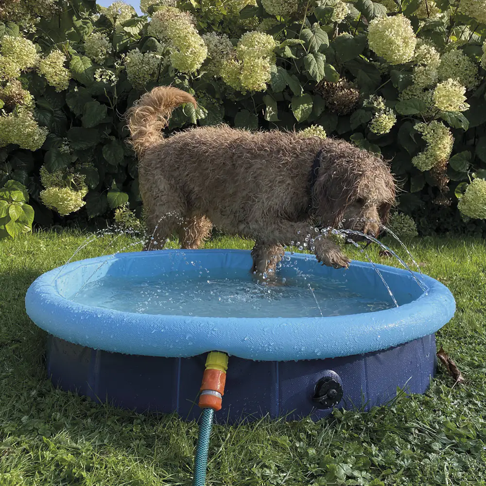 Nobby Hundepool Splash Pool 2 in 1 Nobby Hundepool Splash Pool 2 in 1