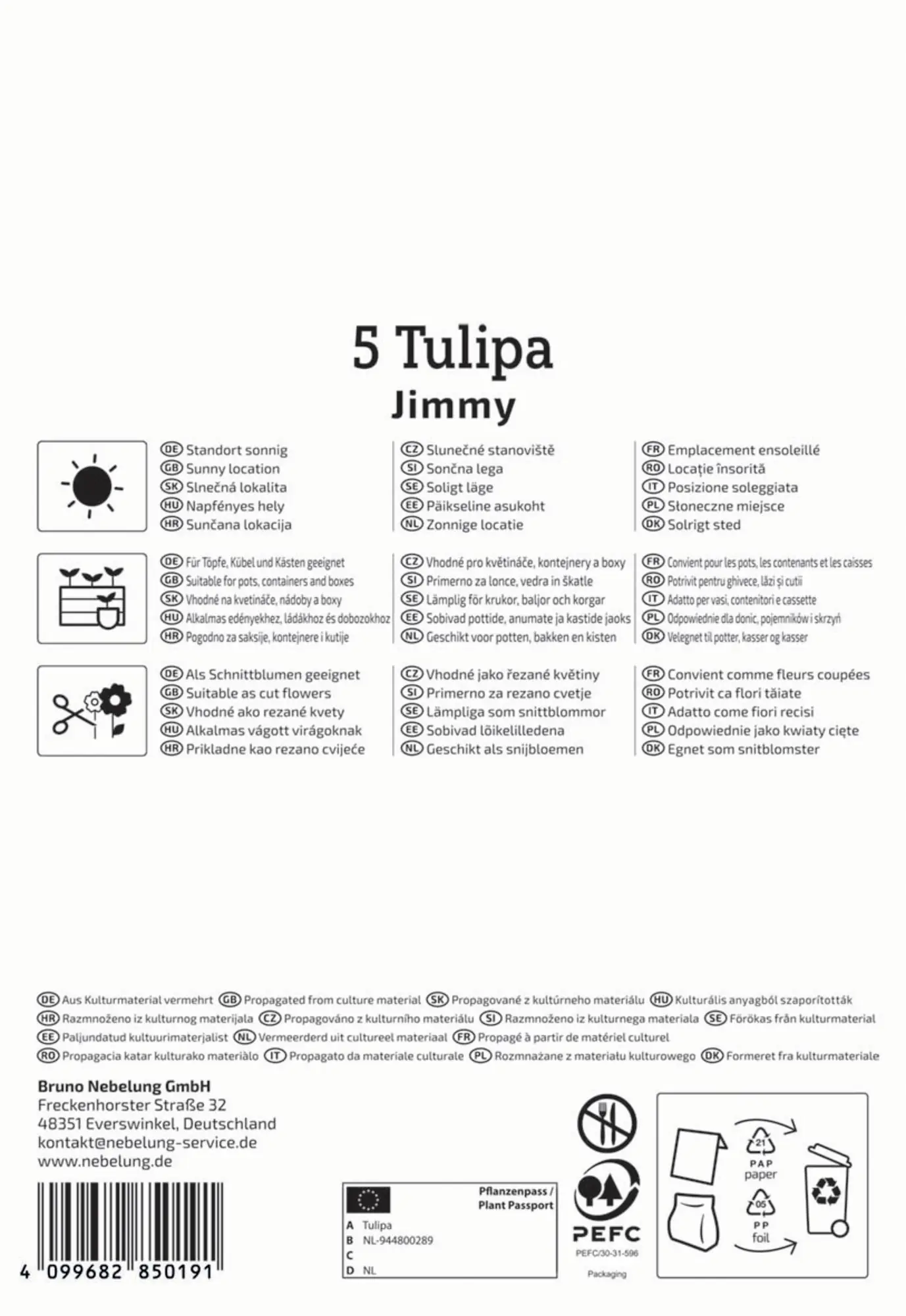 Kiepenkerl Herbstblumenzwiebel Triumph-Tulpe Jimmy 5 Stück