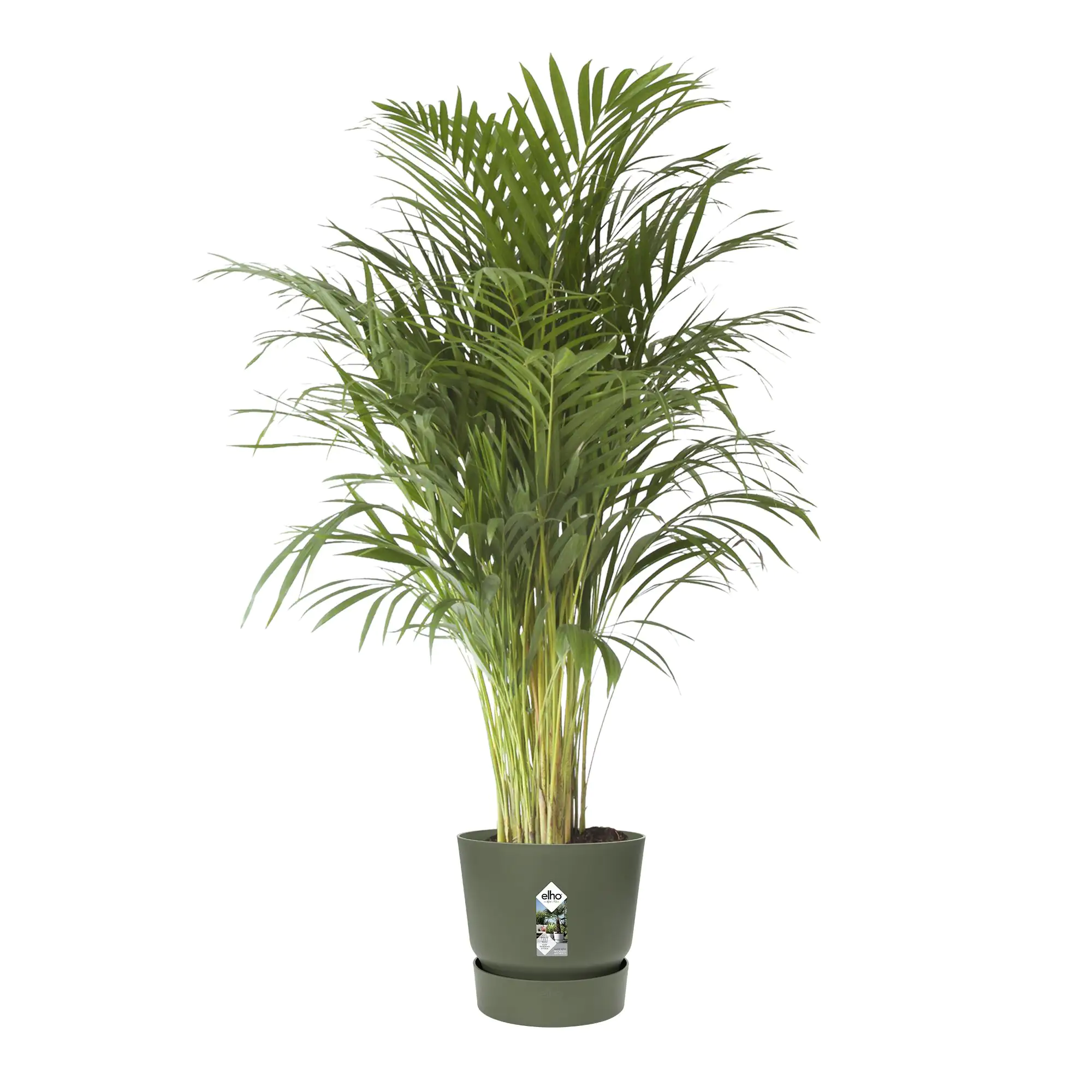 Elho Pflanztopf Greenville Ø 40 x 37 cm laubgrün Elho Pflanztopf Greenville Ø 40 x 37 cm laubgrün