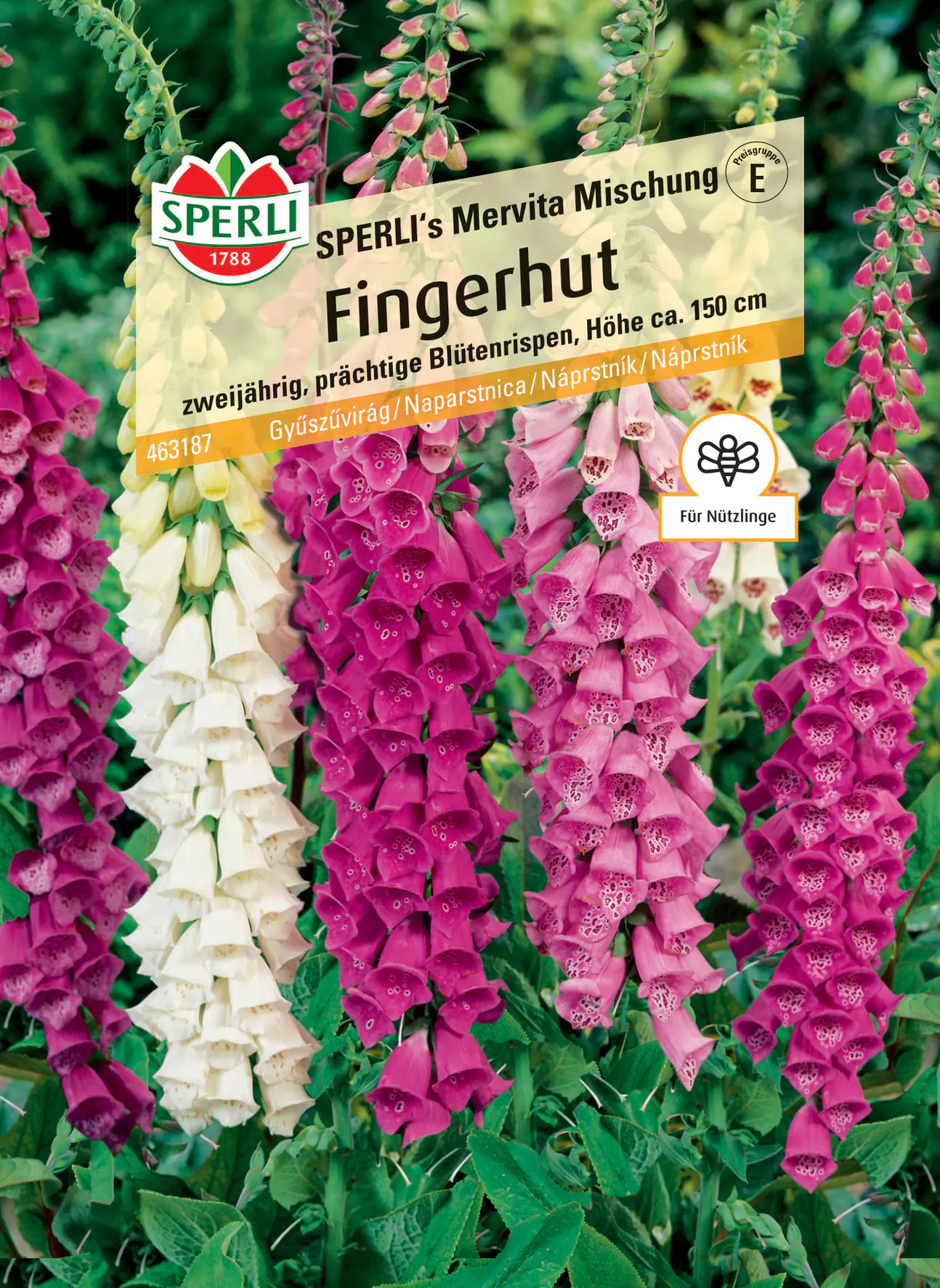 Sperli Fingerhut SPERLI's Mervita Mischung