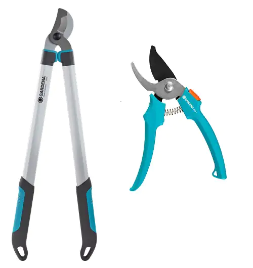 Gardena Astschere EasyCut Promo 680 B inkl. Gartenschere Gardena Astschere EasyCut Promo 680 B inkl. Gartenschere