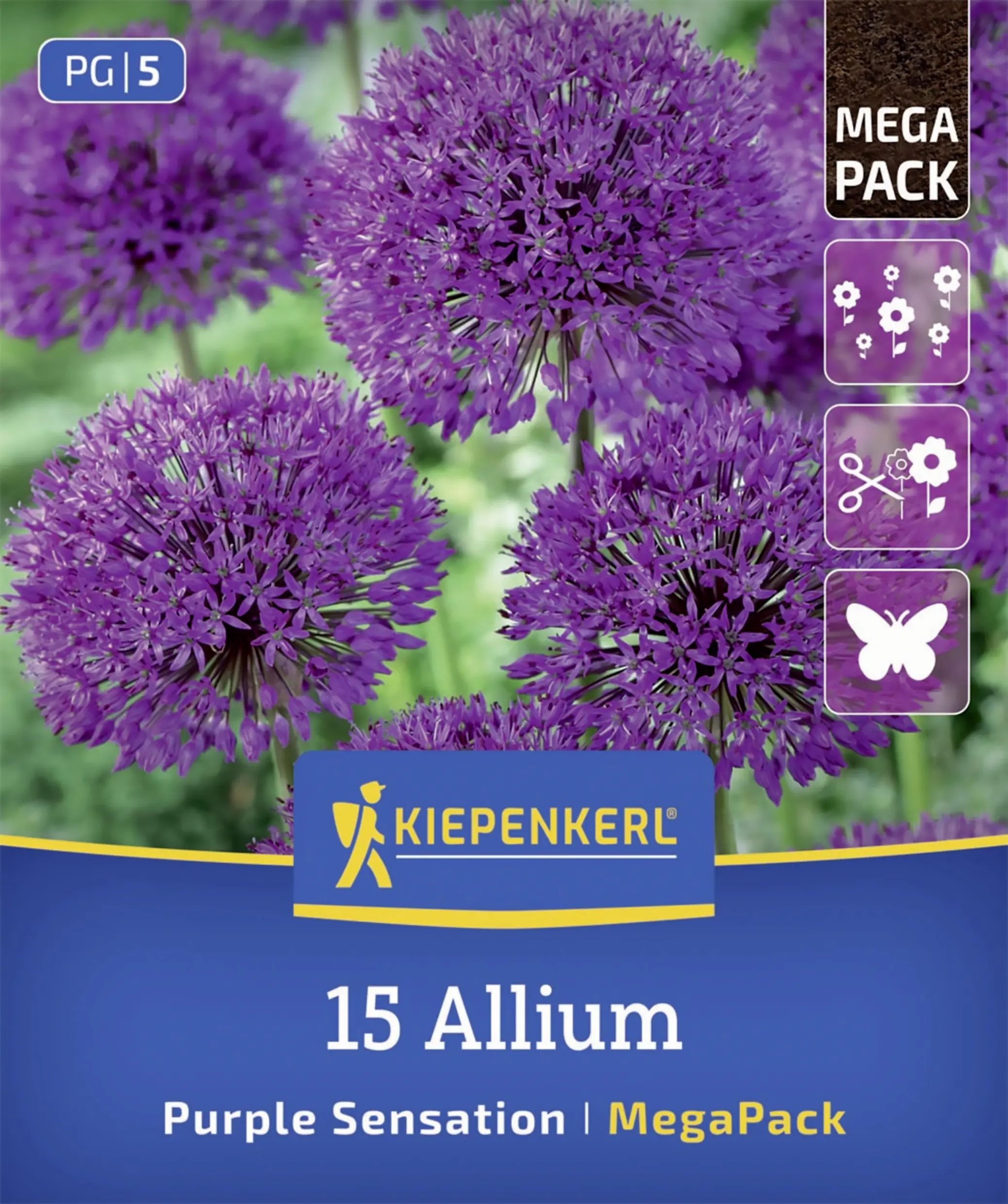 Kiepenkerl Mega-Pack Zierlauch Purple Sensation lila 15 Stück