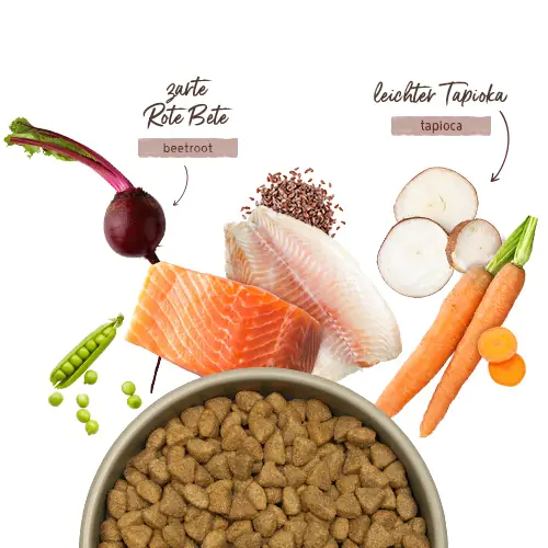 Bosch Menue Adult Hundetrockenfutter Lachs 2,4 kg