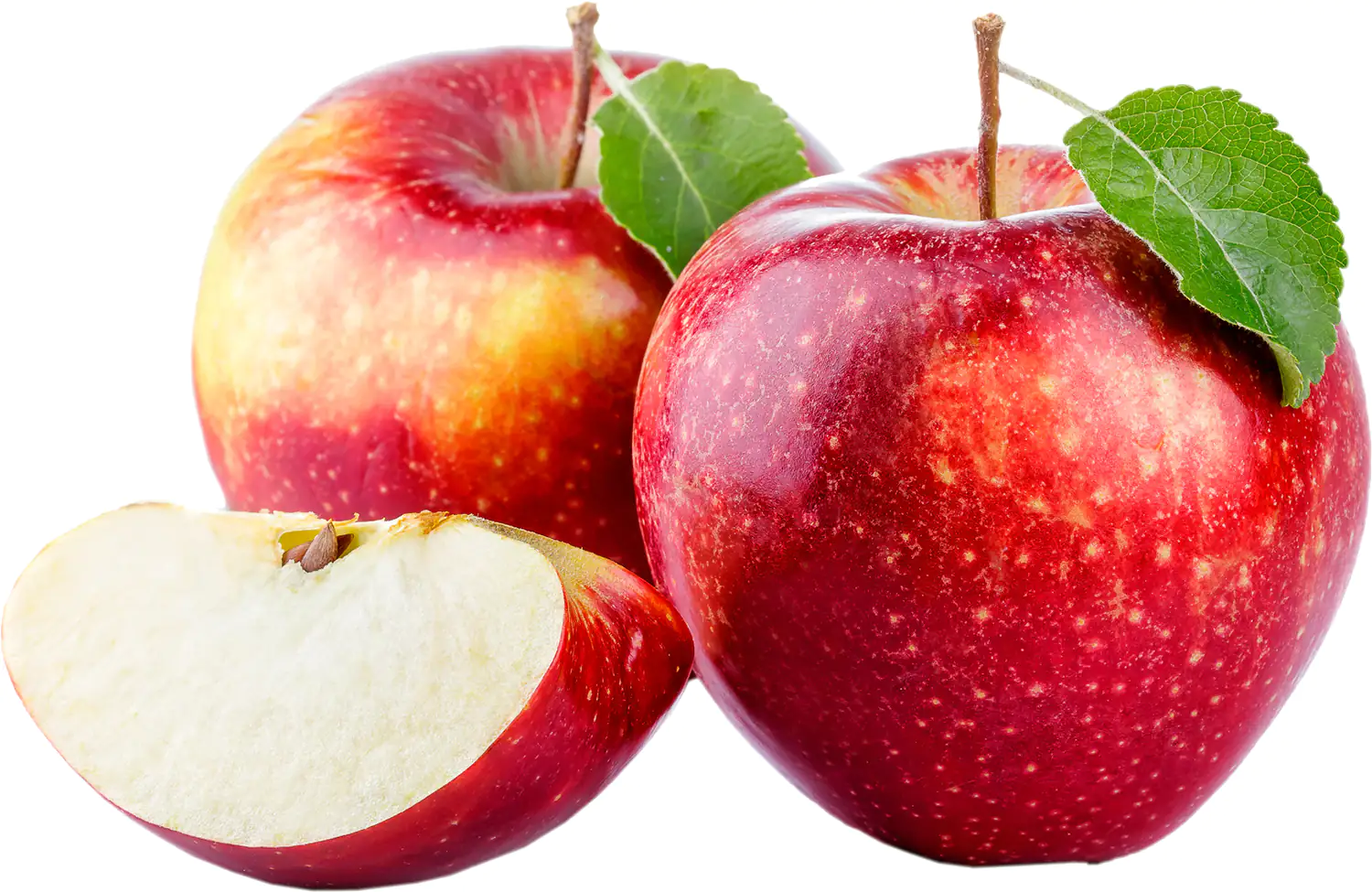 Historischer Apfelbaum H ca. 150 cm 29 cm Topf