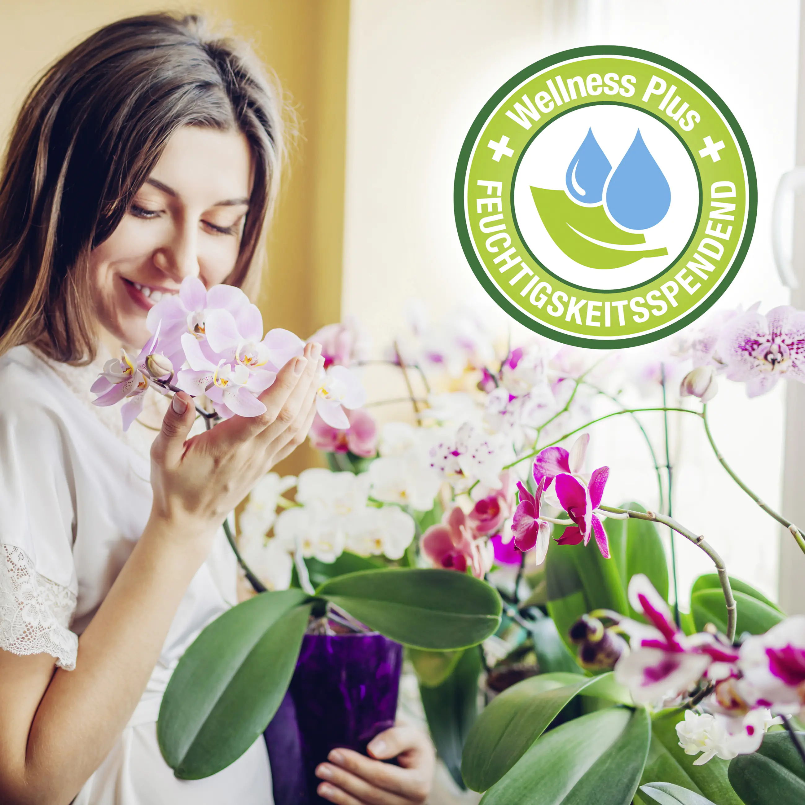 Protect Garden Lizetan Orchideen-Spray AF 500 ml