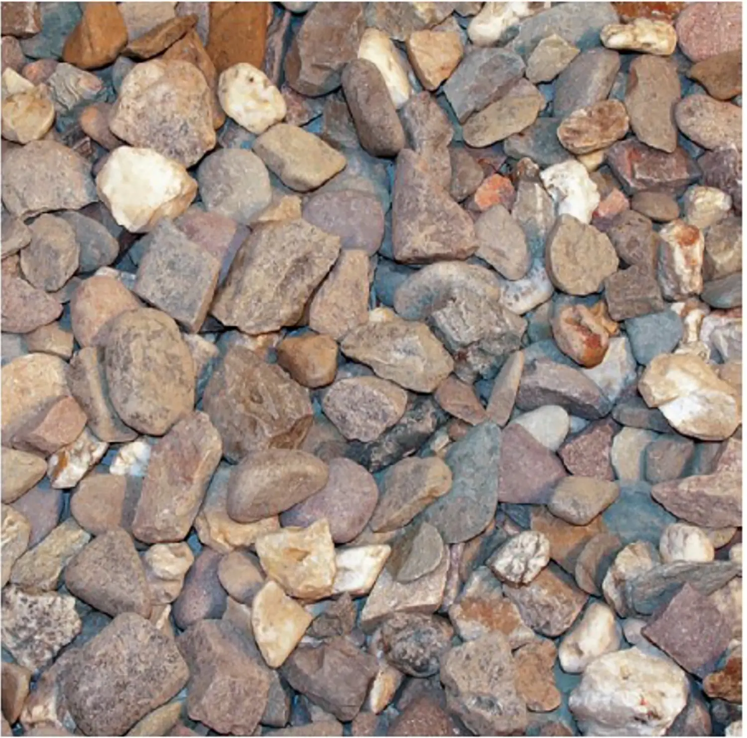 Rheinkies 8 - 16 mm 25 kg