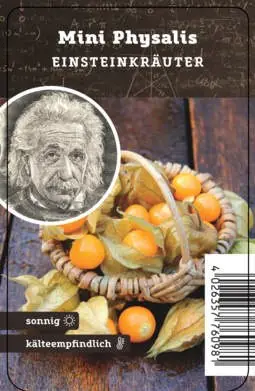 Einsteinkräuter - Physalis 12 cm Topf