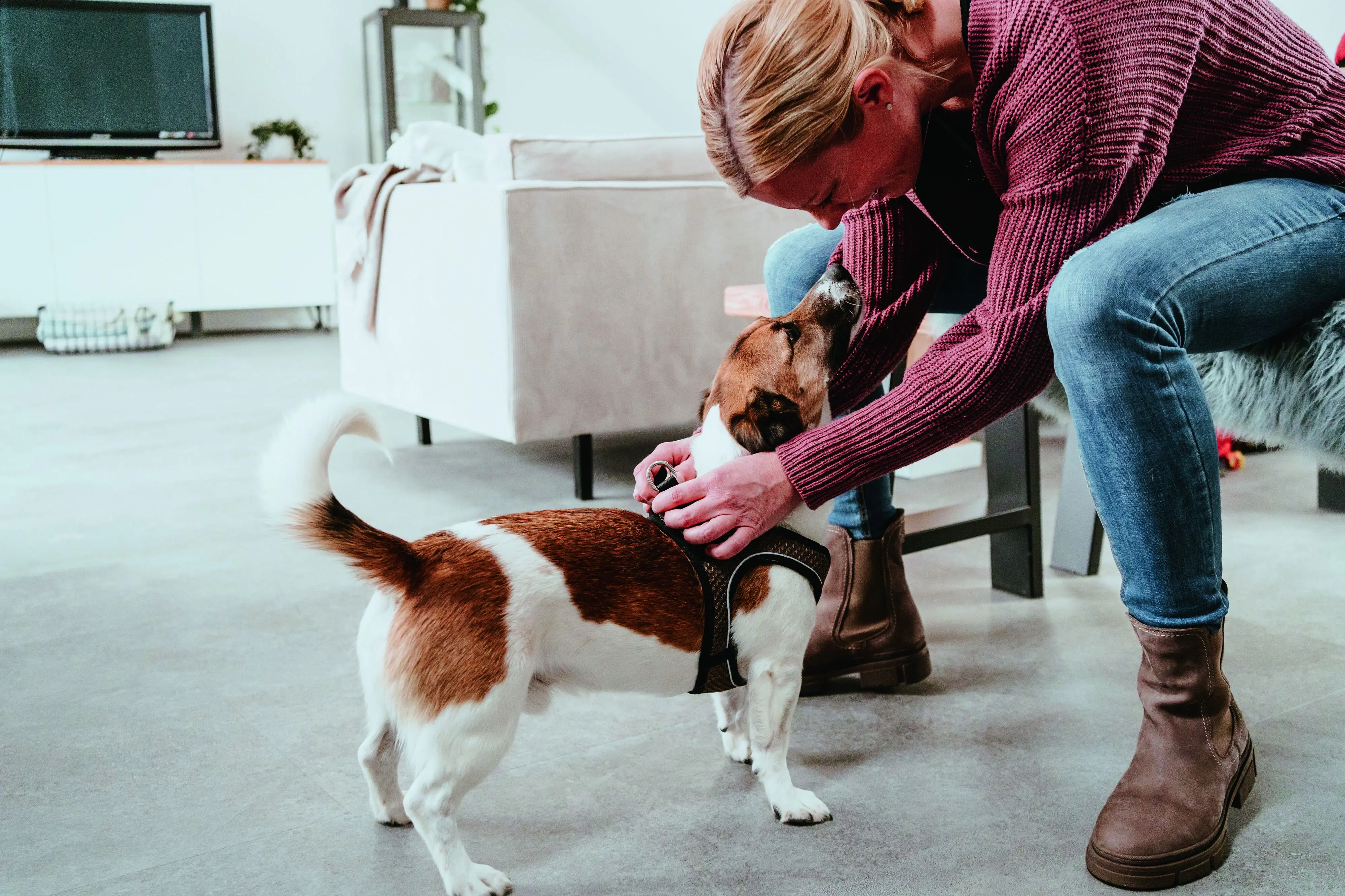 Hunter Hundegeschirr Hilo Comfort M braun