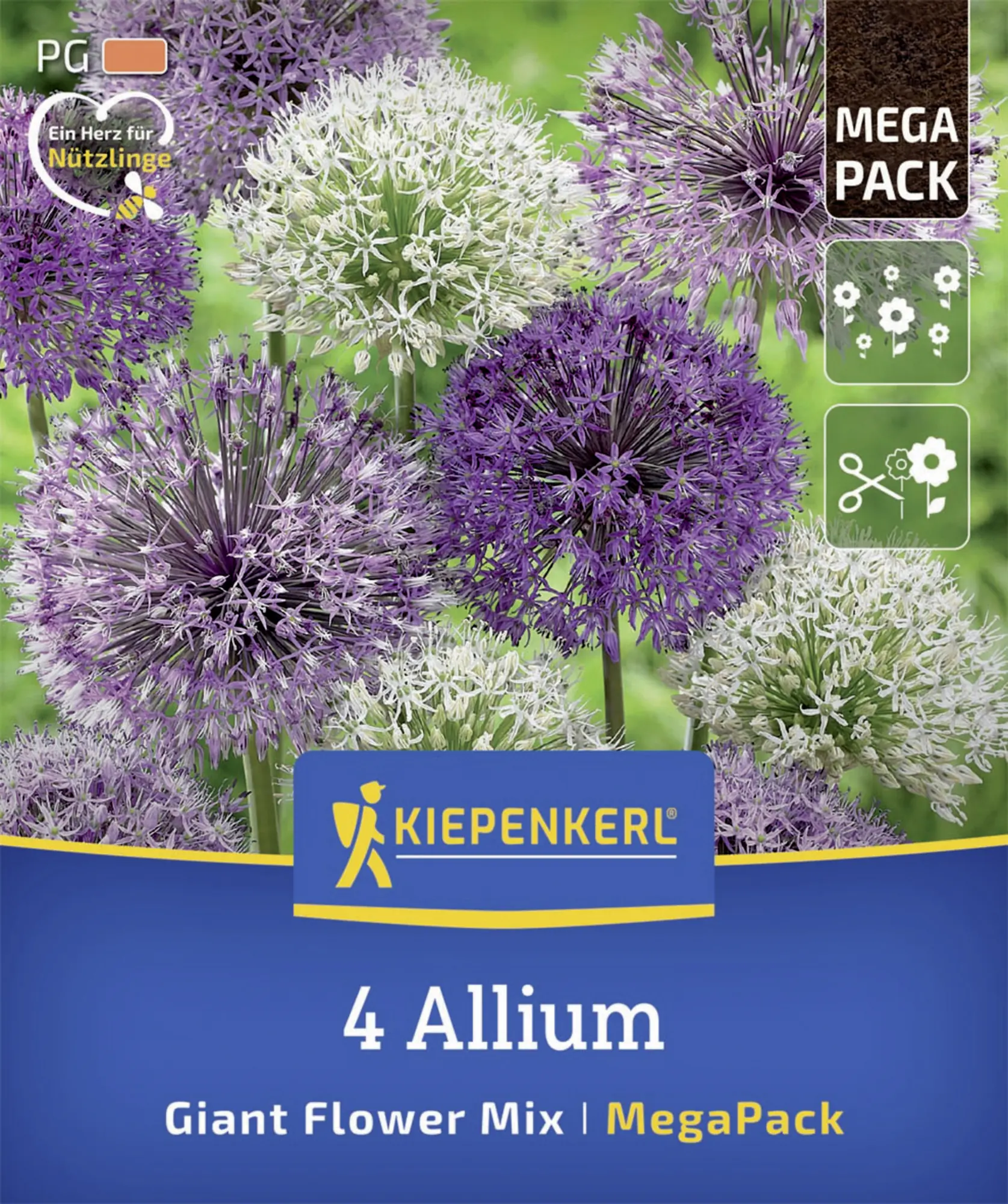 Kiepenkerl Herbstblumenzwiebelmischung Mega-Pack Zierlauch Großblumige Allium 4 Stück