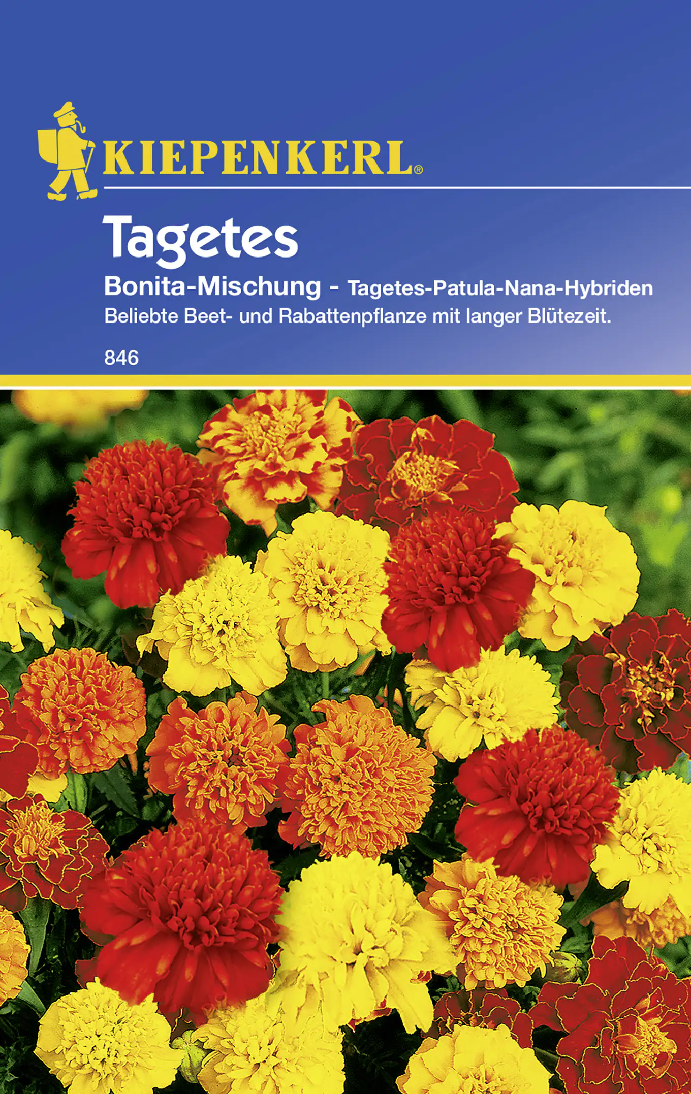Kiepenkerl Studentenblume Bonita-Mischung Tagetes patula, Inhalt: ca. 40 Pflanzen Kiepenkerl Studentenblume Bonita-Mischung Tagetes patula, Inhalt: ca. 40 Pflanzen