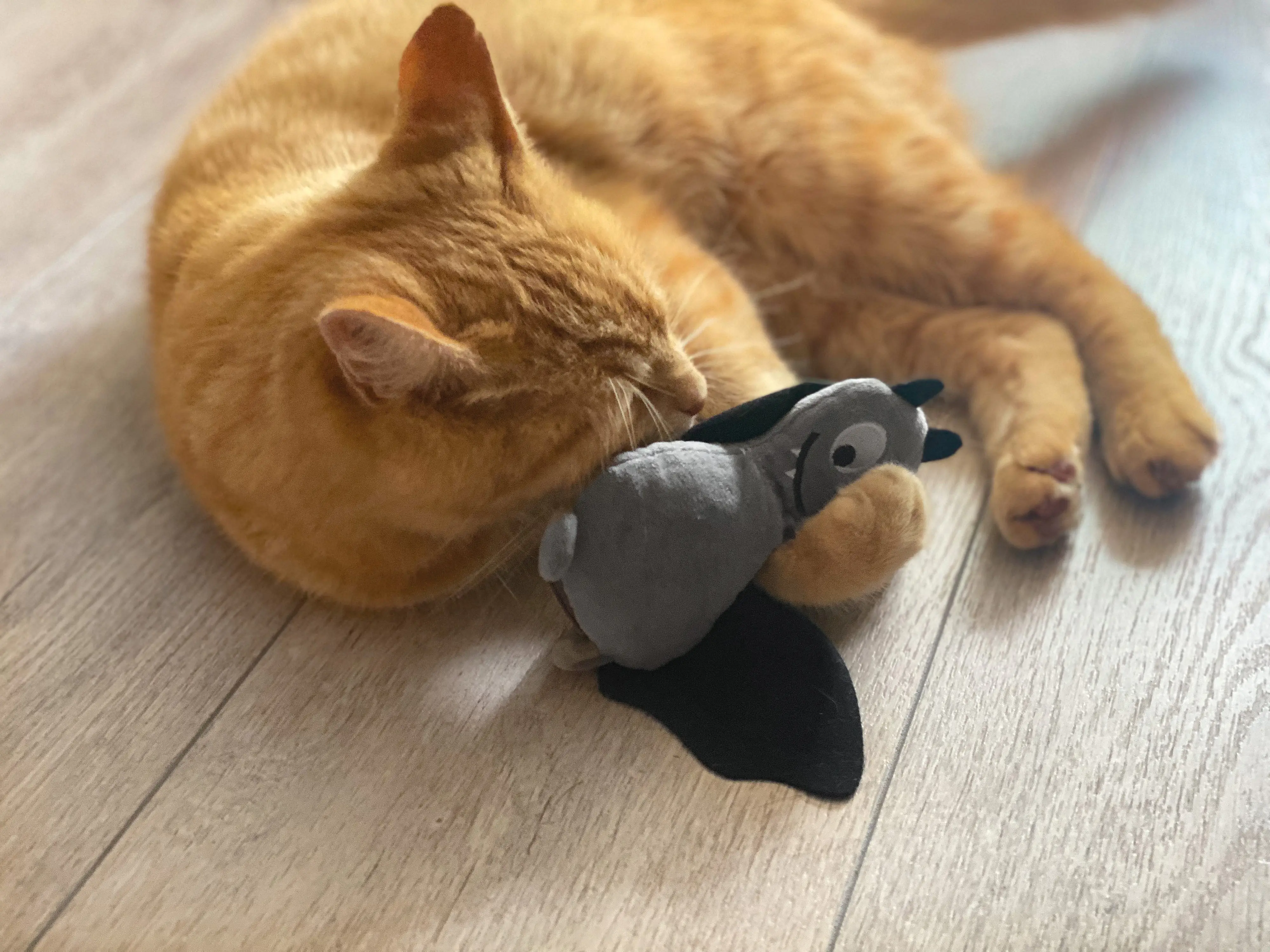 Aumüller Katzenspielzeug Frido Fledermaus 23 cm schwarz grau Aumüller Katzenspielzeug Frido Fledermaus 23 cm schwarz grau