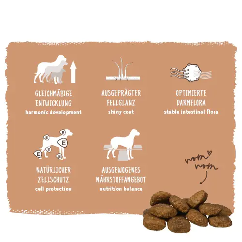 Bosch Trockenfutter für große Hunde Adult Maxi 15 kg Bosch Trockenfutter für große Hunde Adult Maxi 15 kg