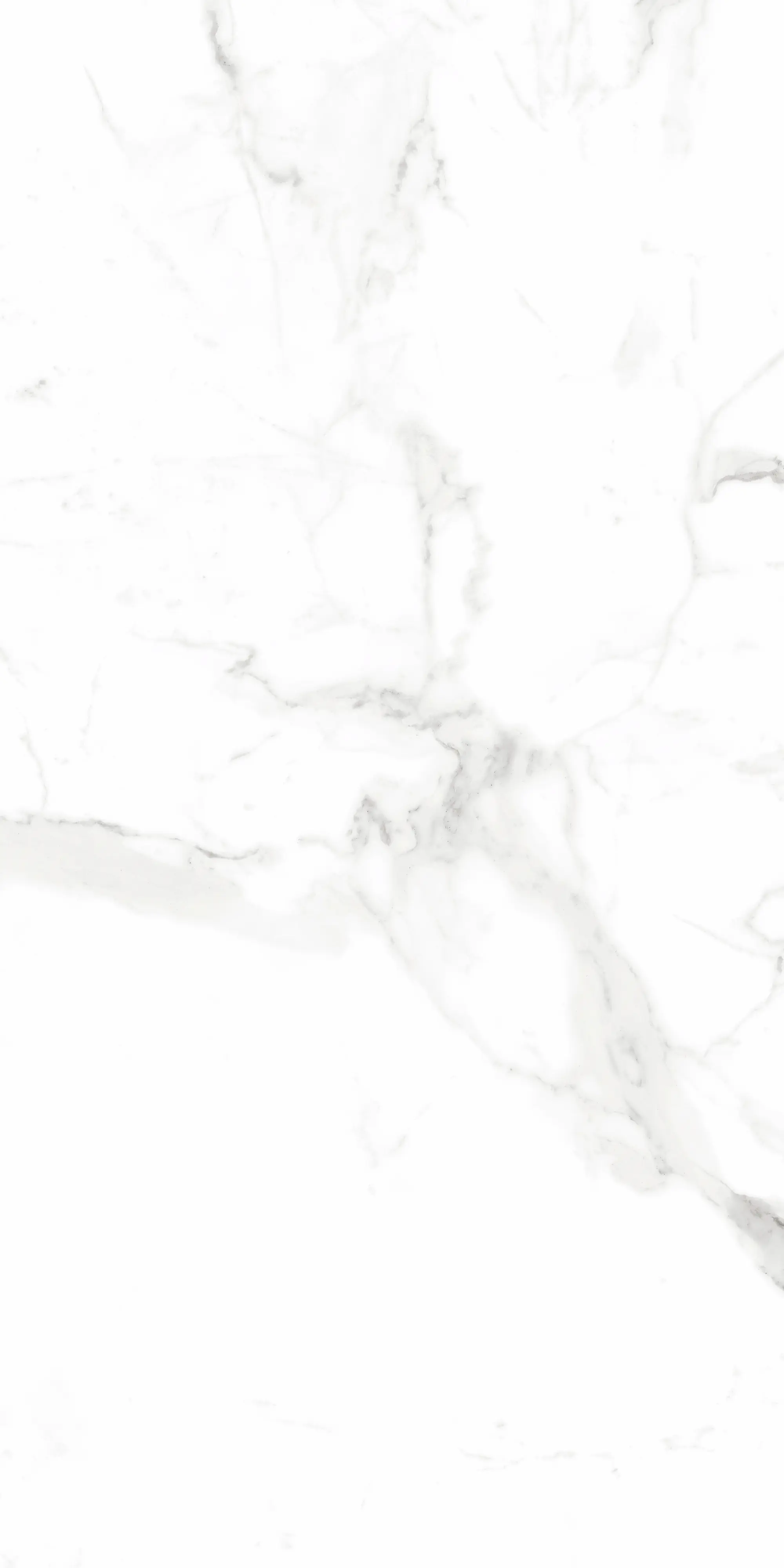 Bodenfliese Feinsteinzeug Alcora 60 x 120 cm weiß/grau